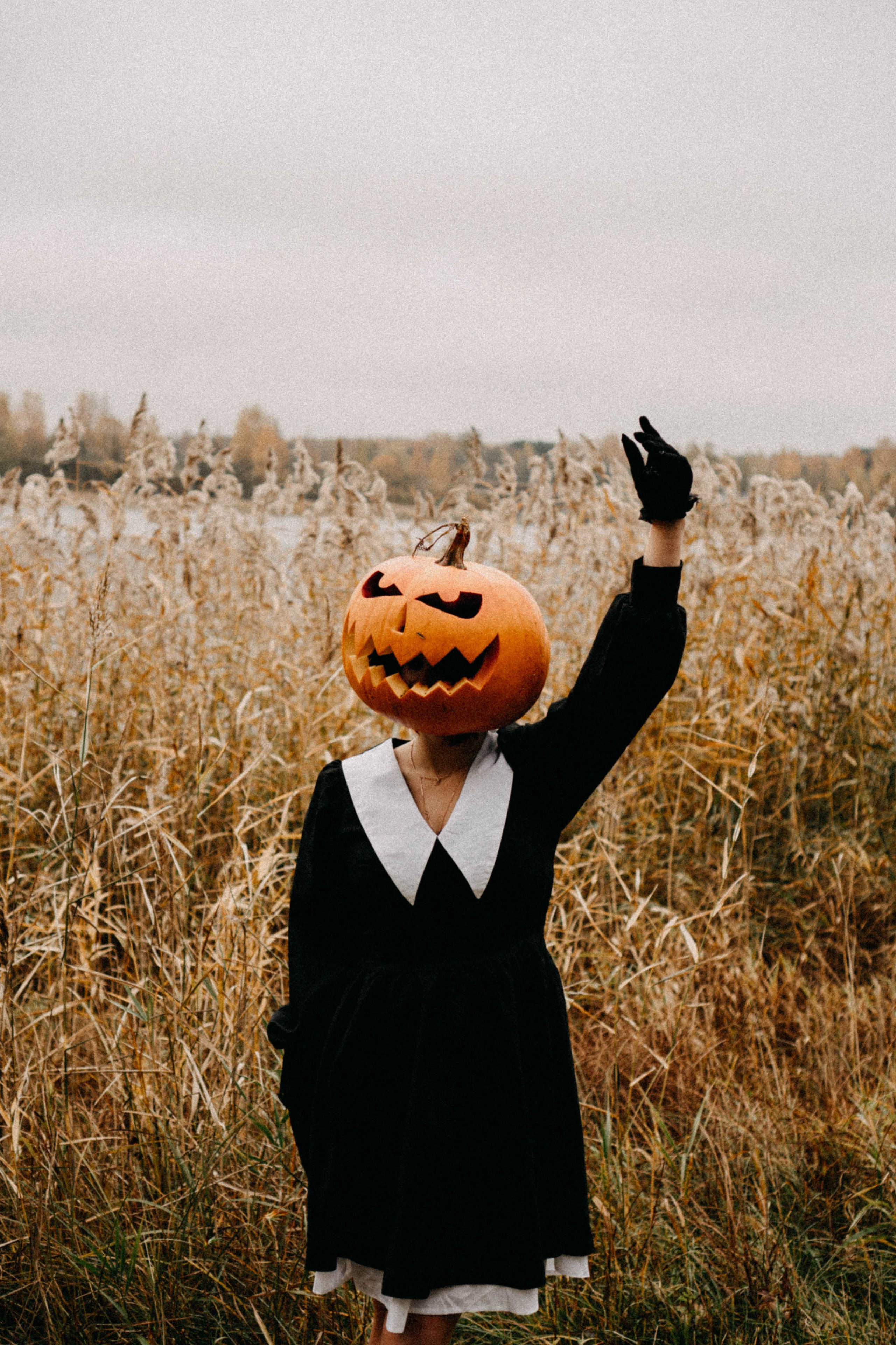 Осеняя. Профессиональный фотограф, Санкт-Петербург — Виктория Богомолова