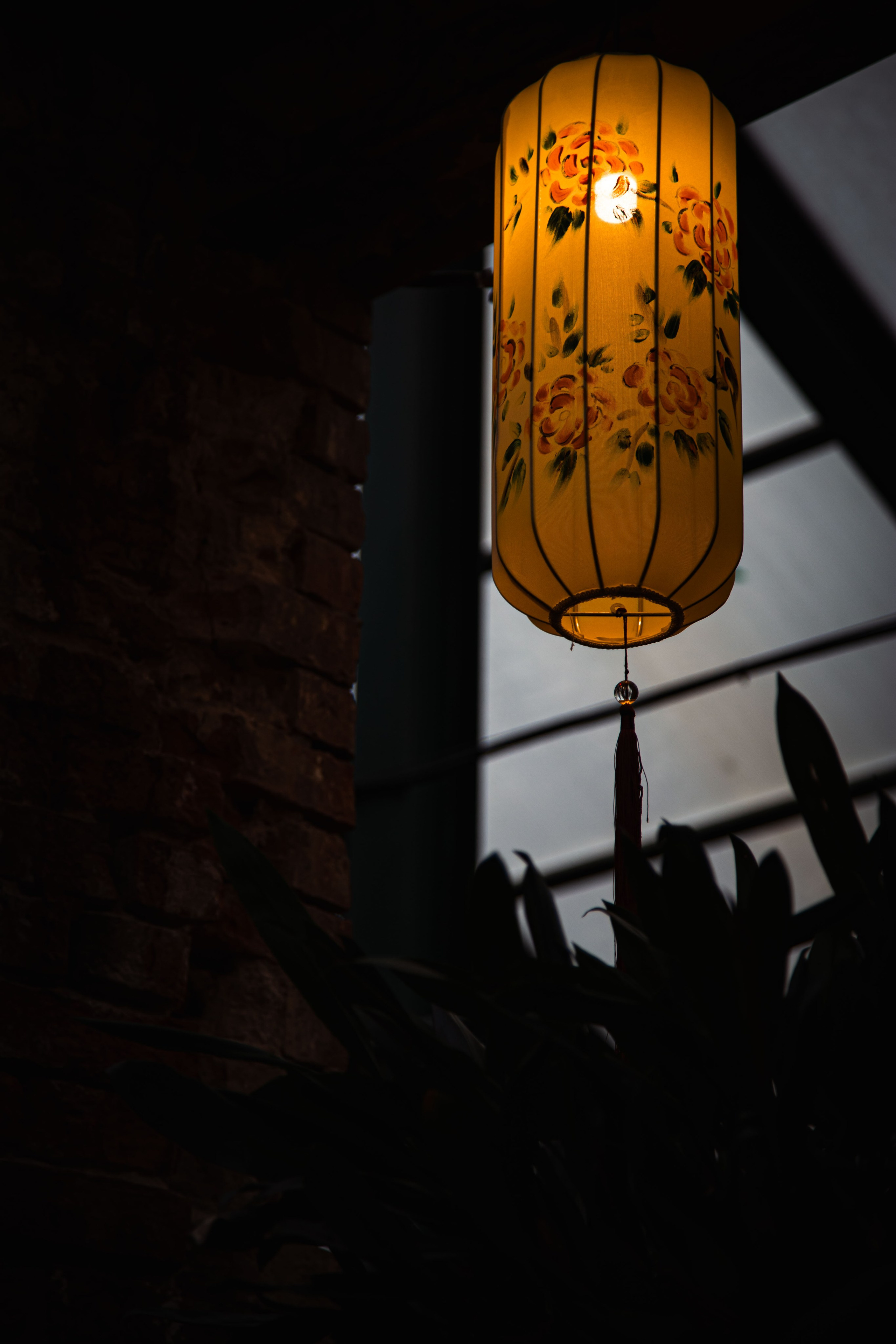 Китайский новый год 2025. Dmitriy [KCCC] is a pretty cool photographer