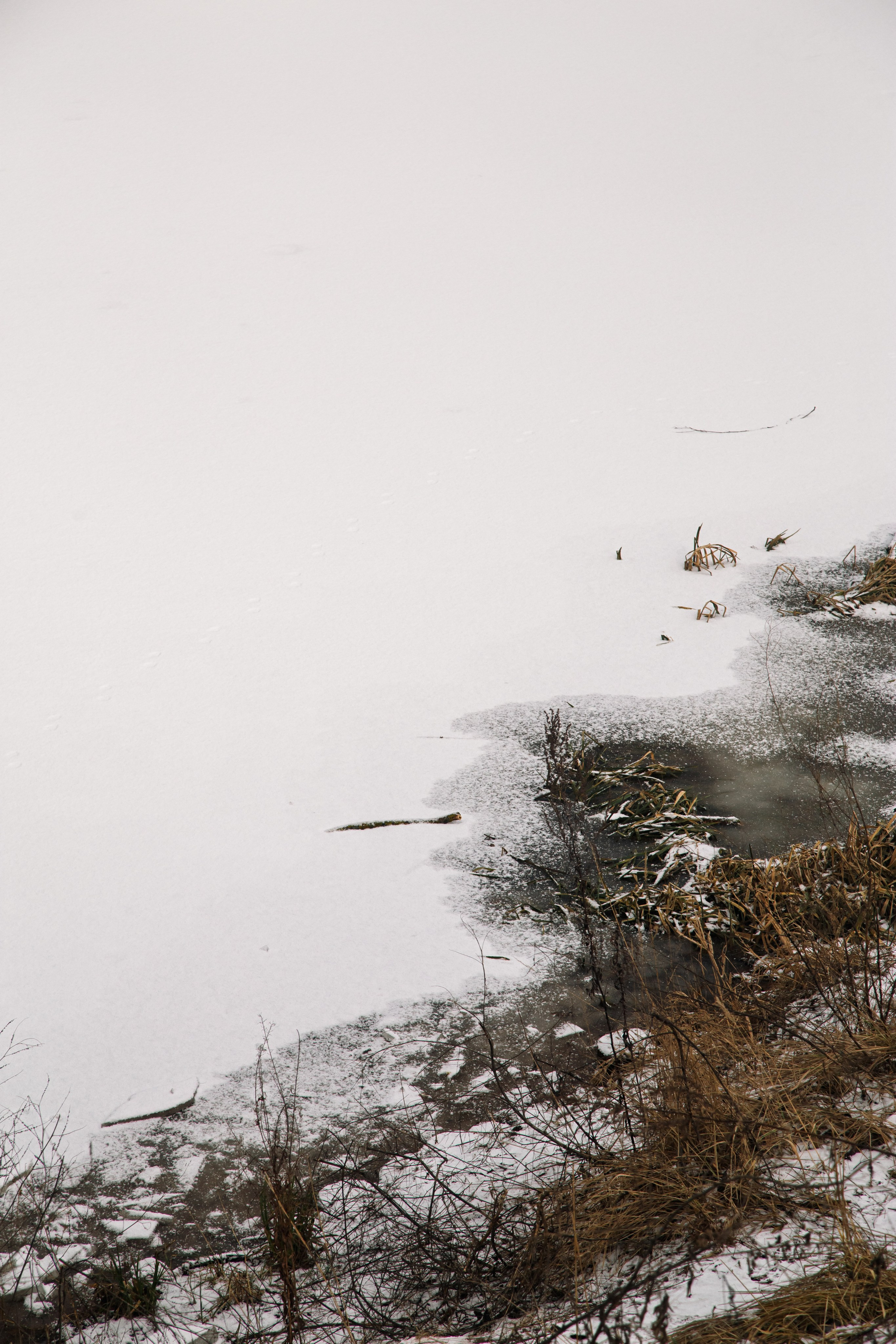 Осенняя зима. Dmitriy [KCCC] is a pretty cool photographer