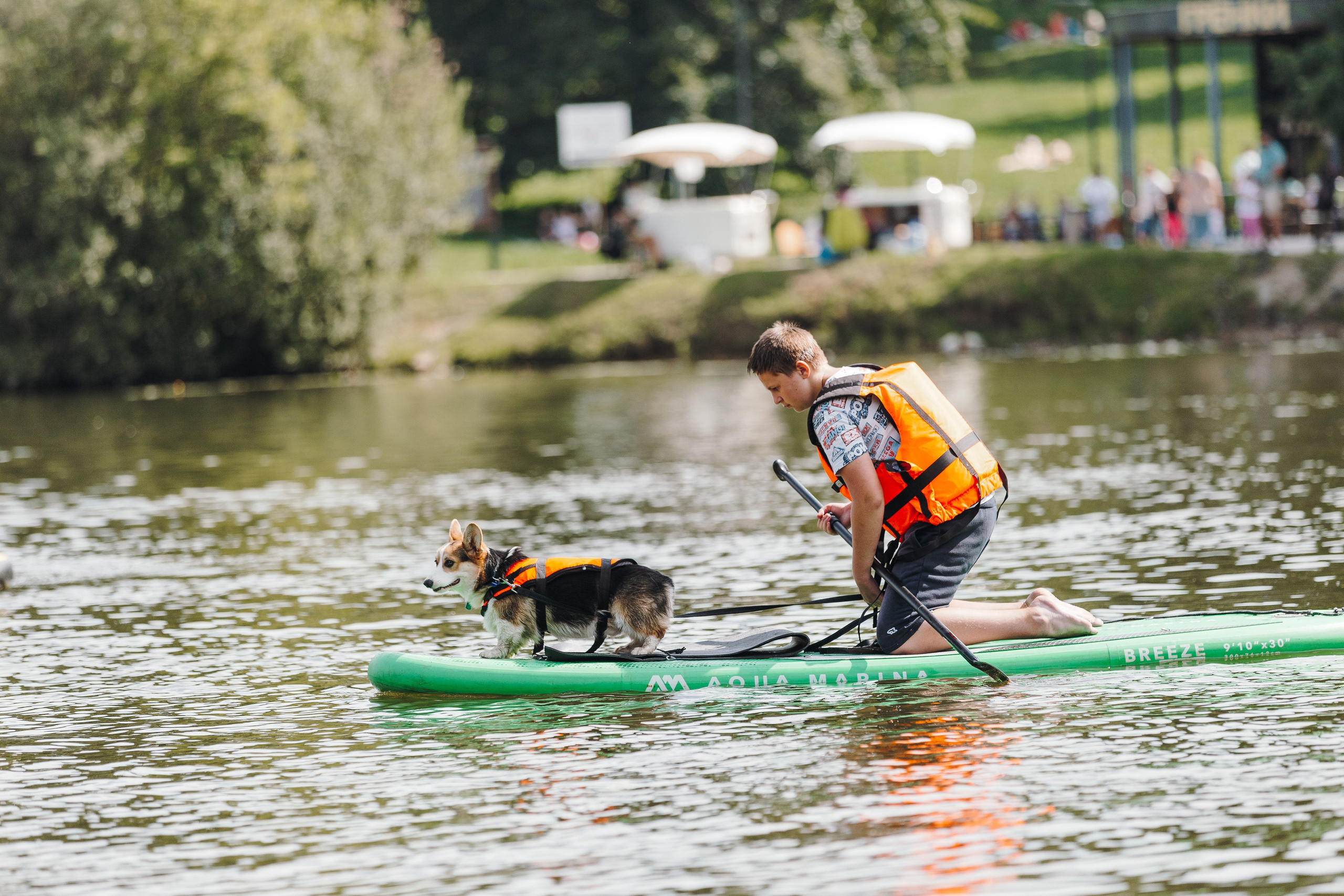 Petshop Sup day. Фотограф анималист Кристина Карпова, Москва