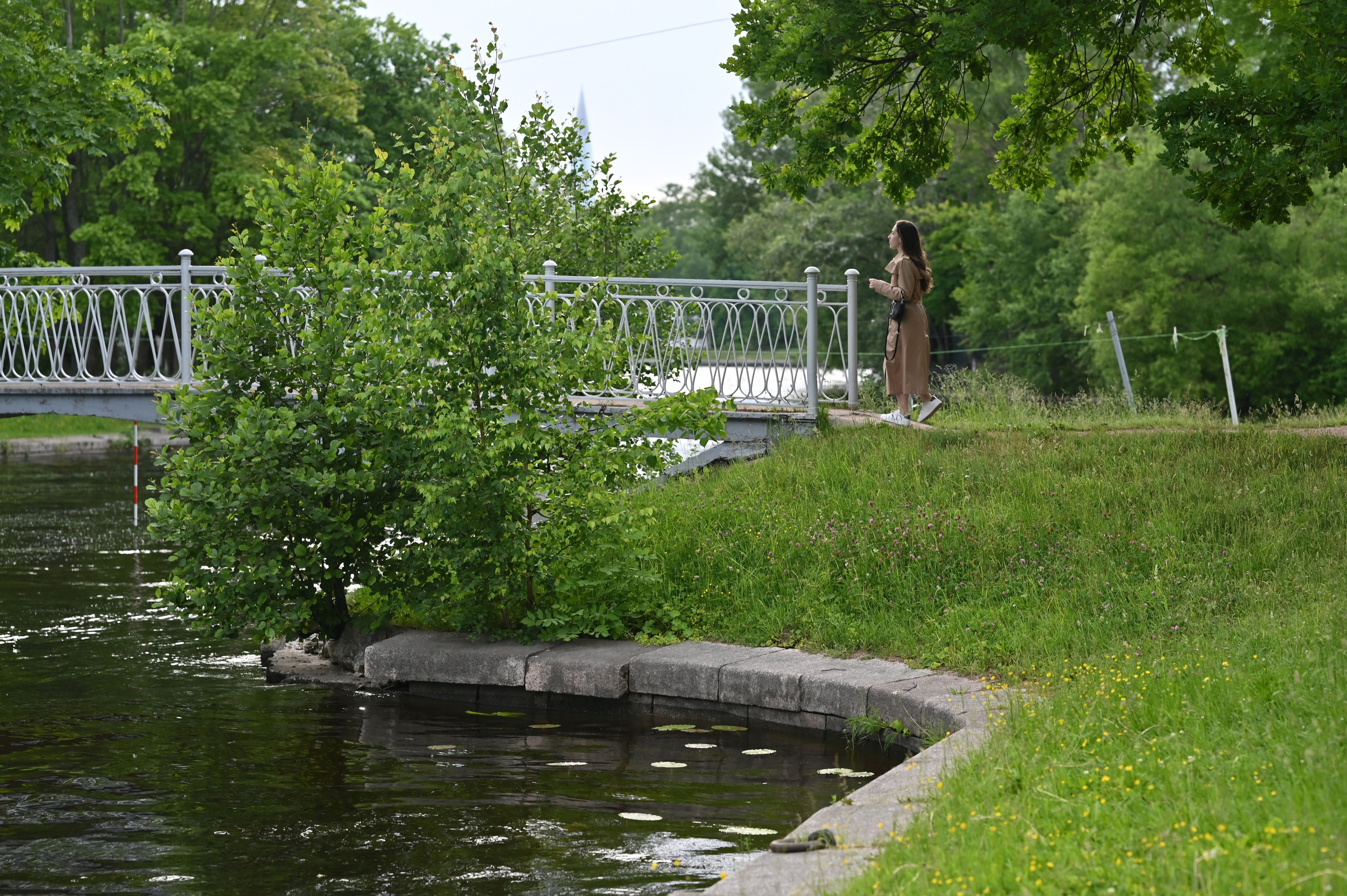 . ZDARONOKIA Репортажный фотограф