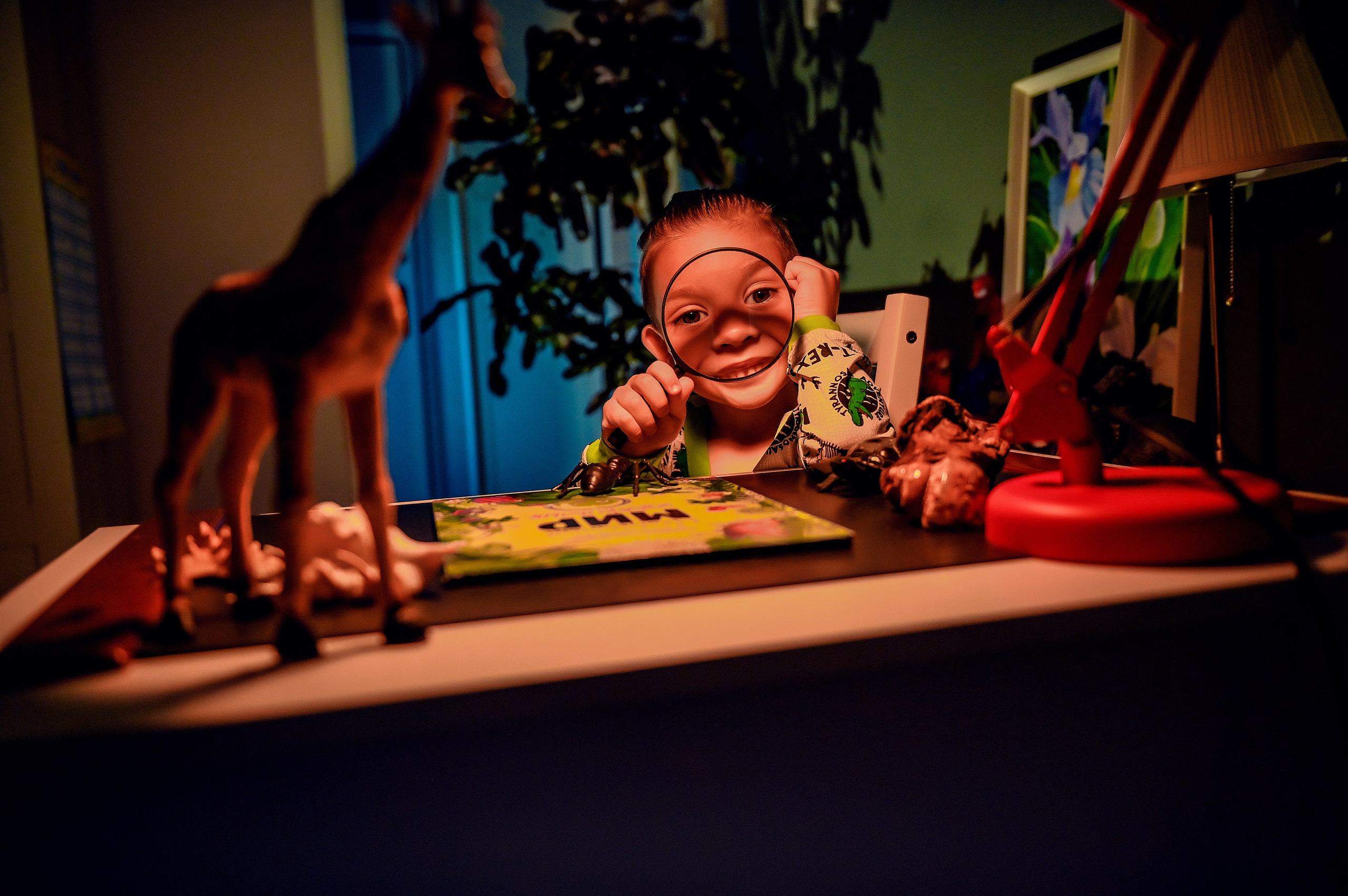 Детская домашняя кабинет натуралиста. Свадебный, семейный, детский, контент фотограф в Омске Максим Ильин