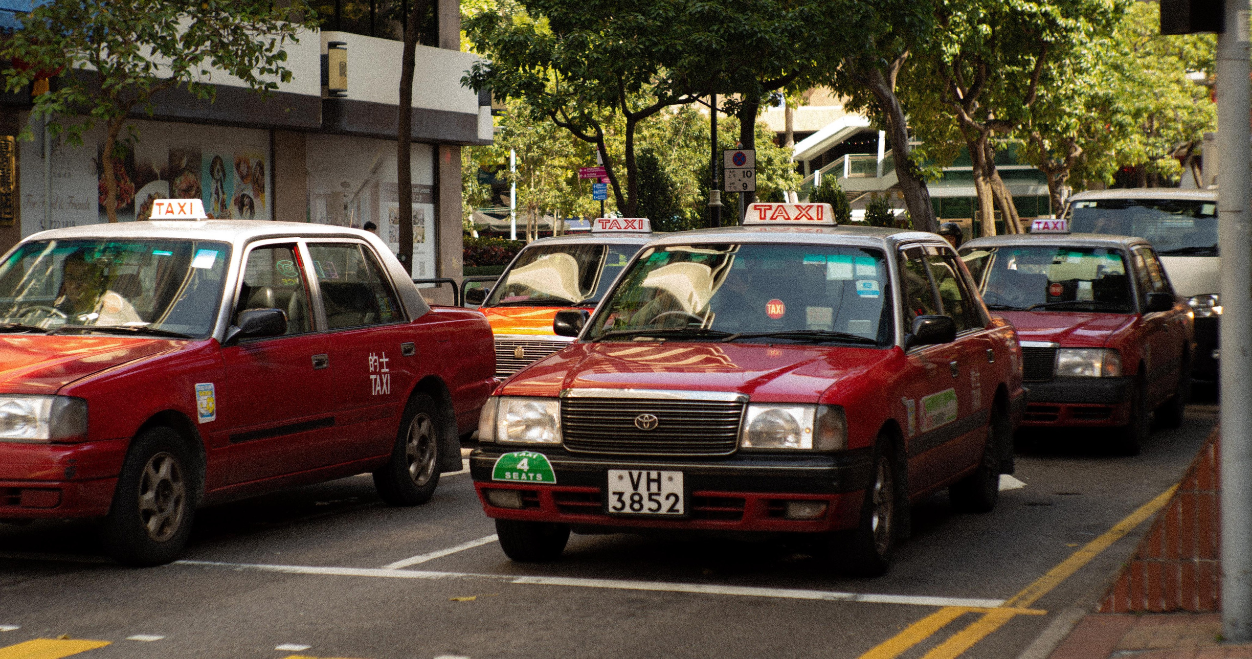 Art portfolio. AleSeeva