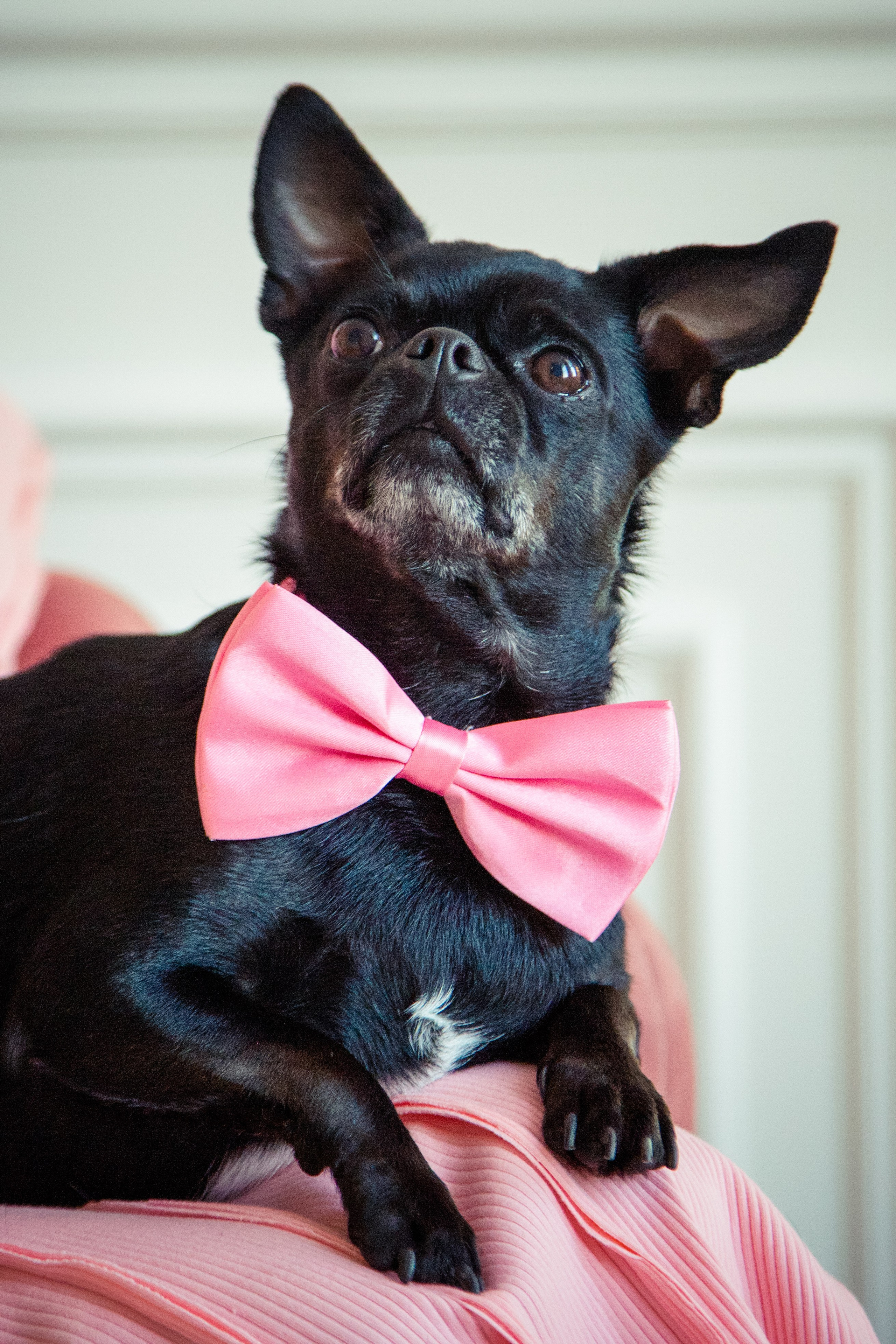 Фотосессия беременности в студии. X-Place студия в Москве. Свадебный и семейный фотограф в Москве и Подмосковье Лариса Козлова