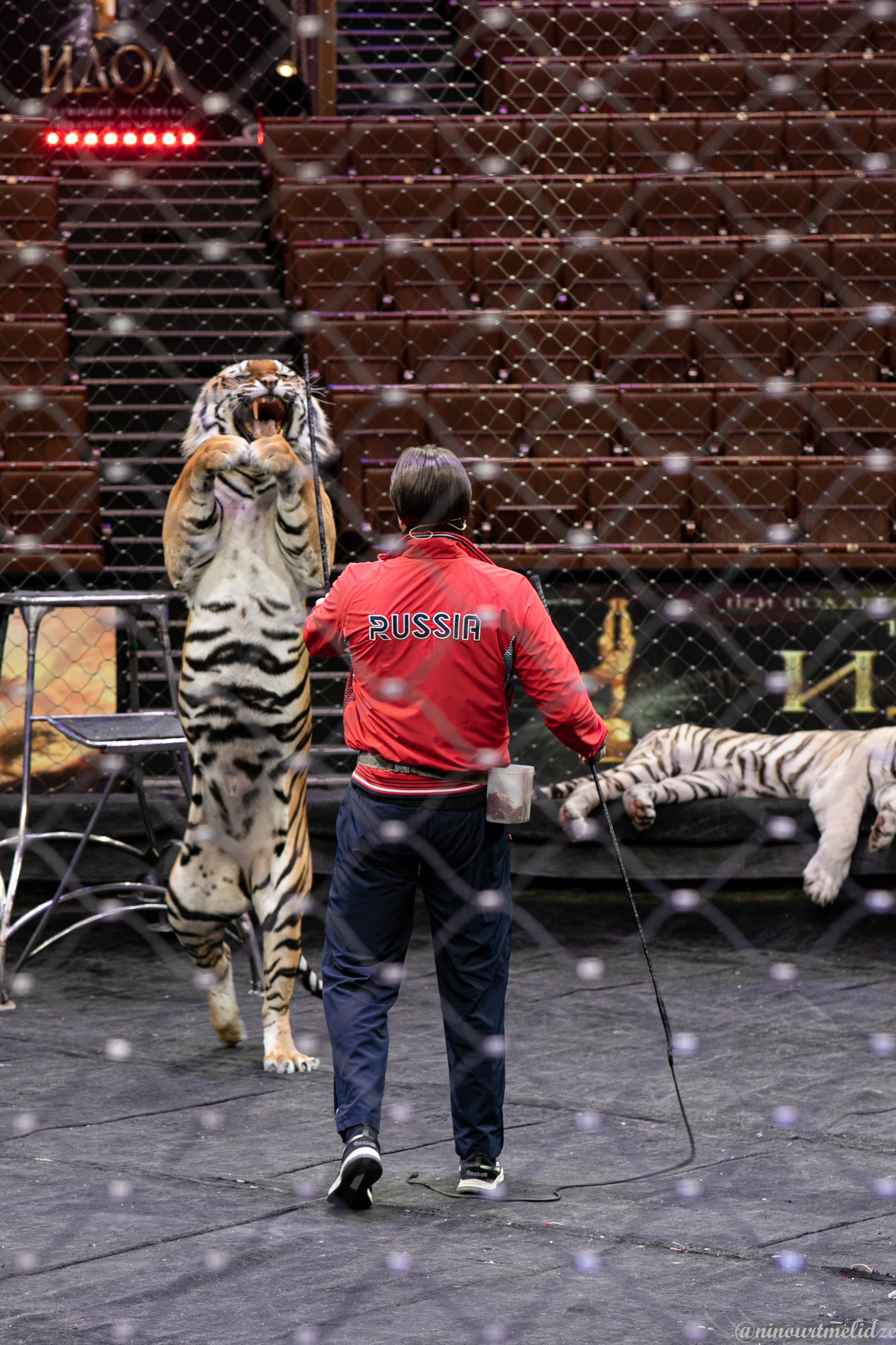 В закулисье у братьев Запашных. Art photographer Nino