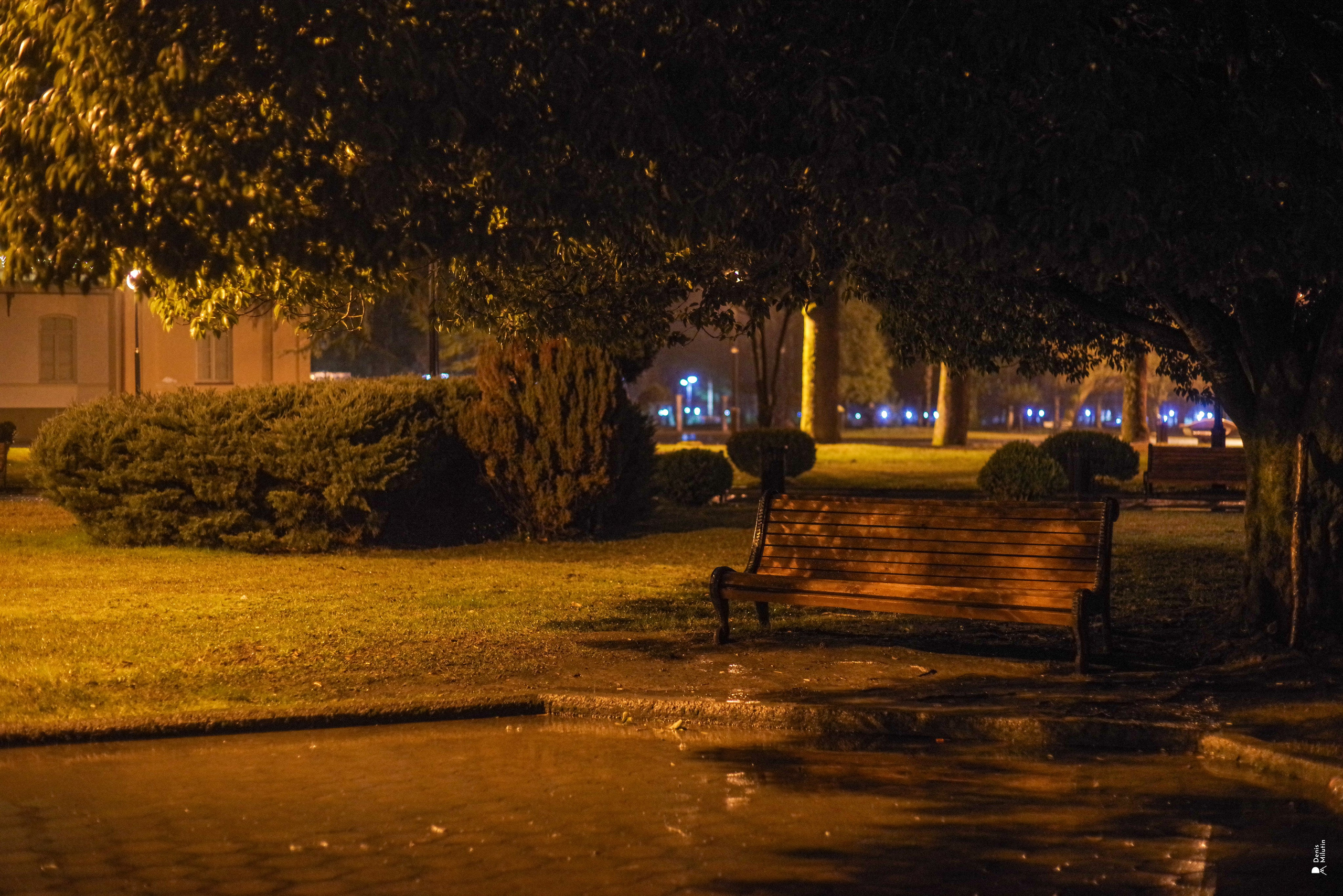 Зугдиди. Портретный фотограф Денис Милютин