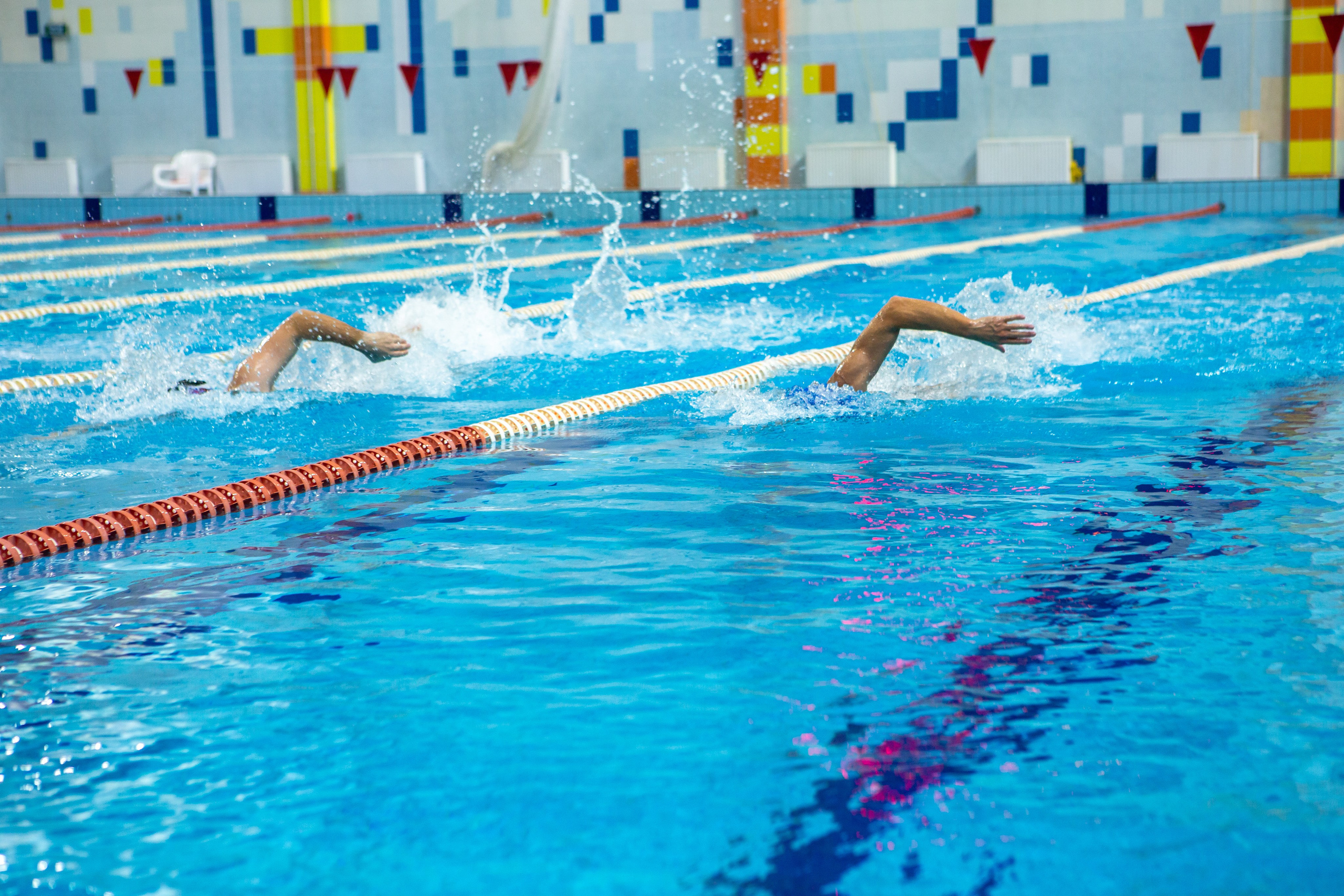 Турнир по плаванию. Репортажный, семейный, свадебный, портретный фотограф