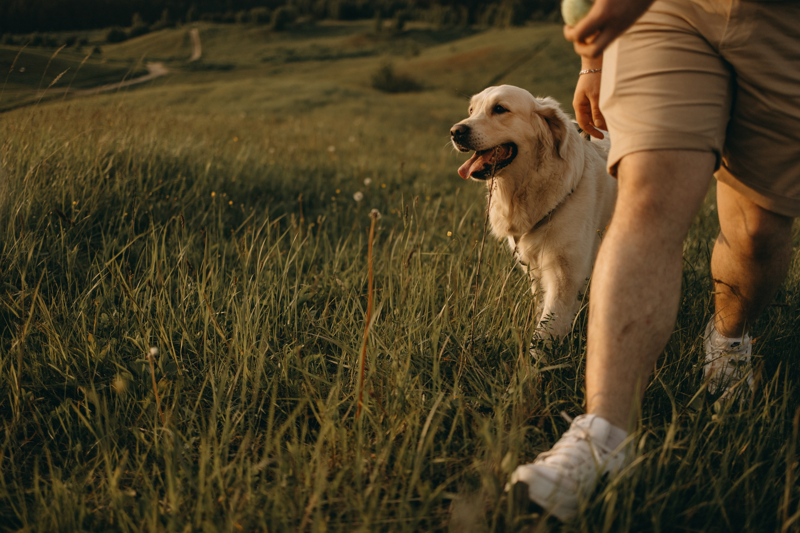 Милка и ребята. Фотограф — Анималист | Санкт-Петербург