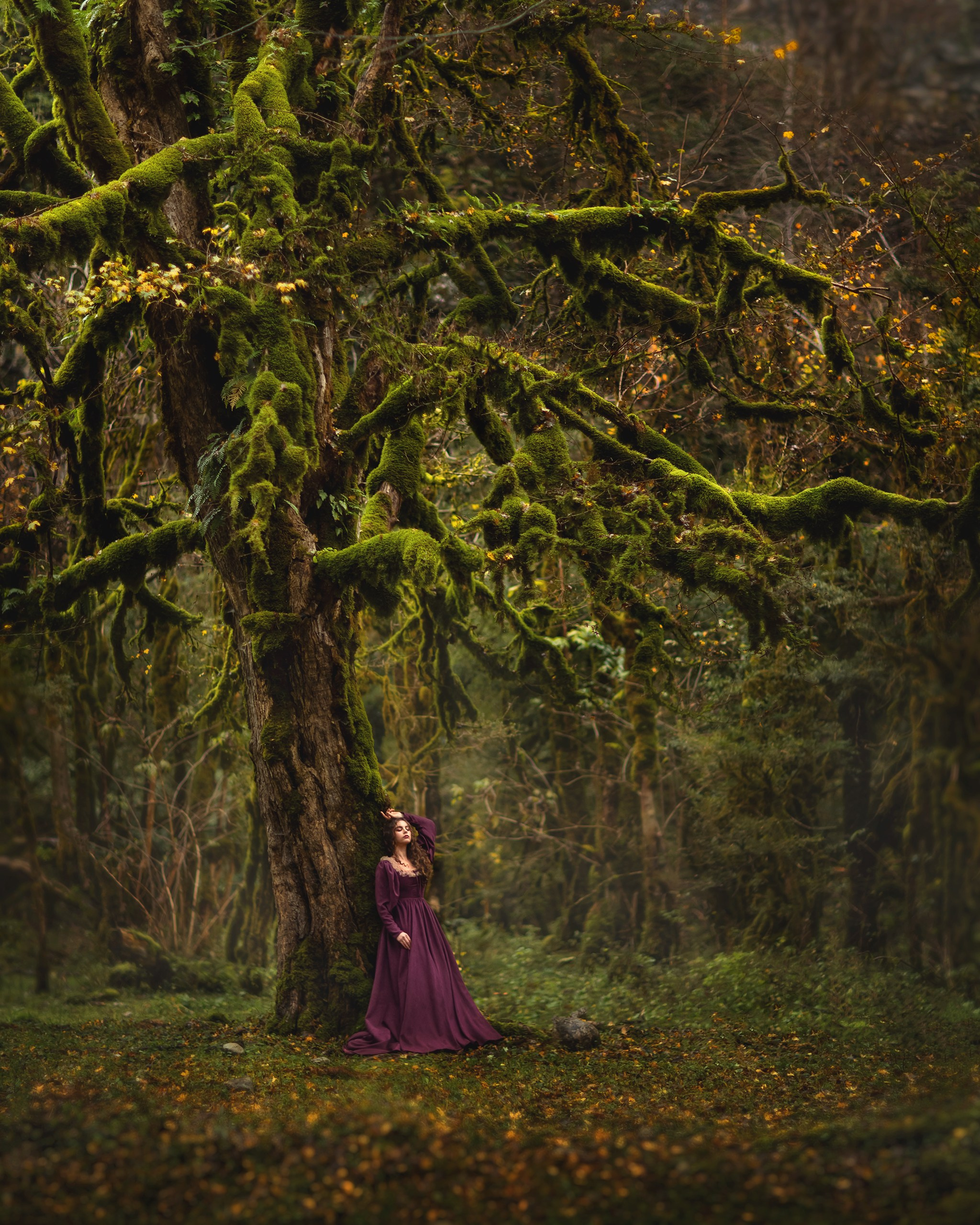 Самшитовый лес. Детский и семейный фотограф Елена Михайлова в Москве