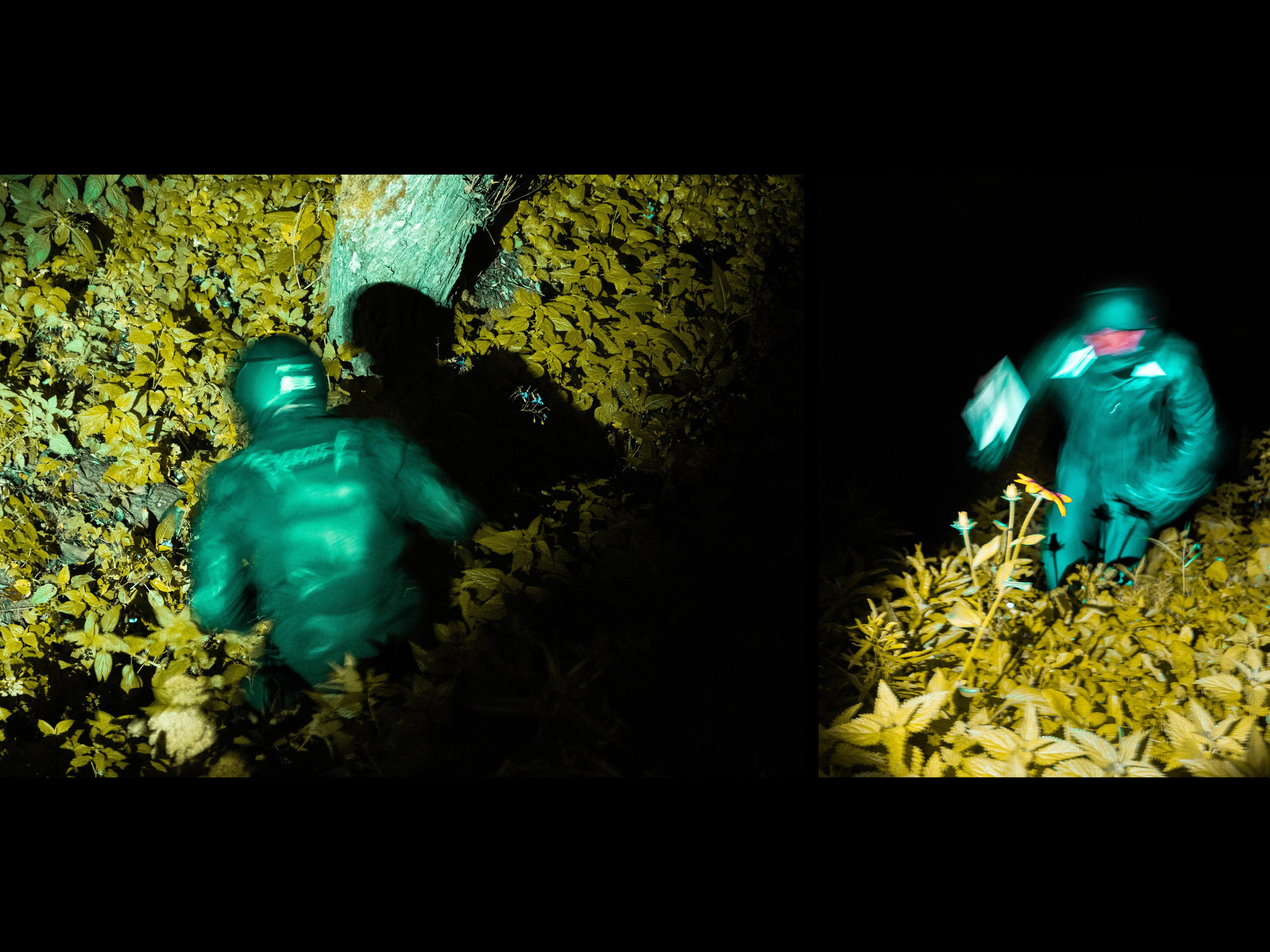 Alien. Портретный и Репортажный фотограф в Москве