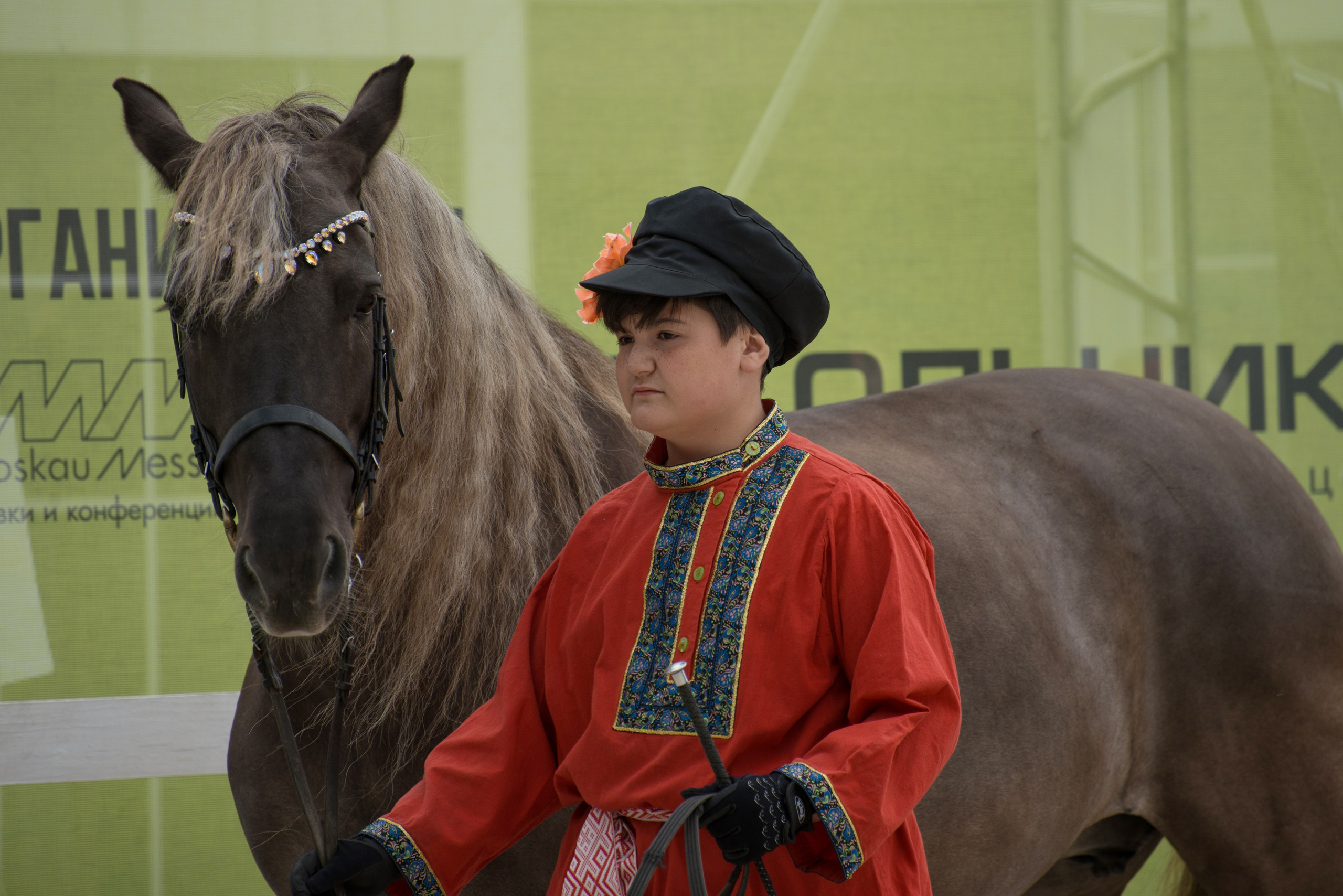 Эквирос. Конный фотограф в Саратове Юлия Иванова