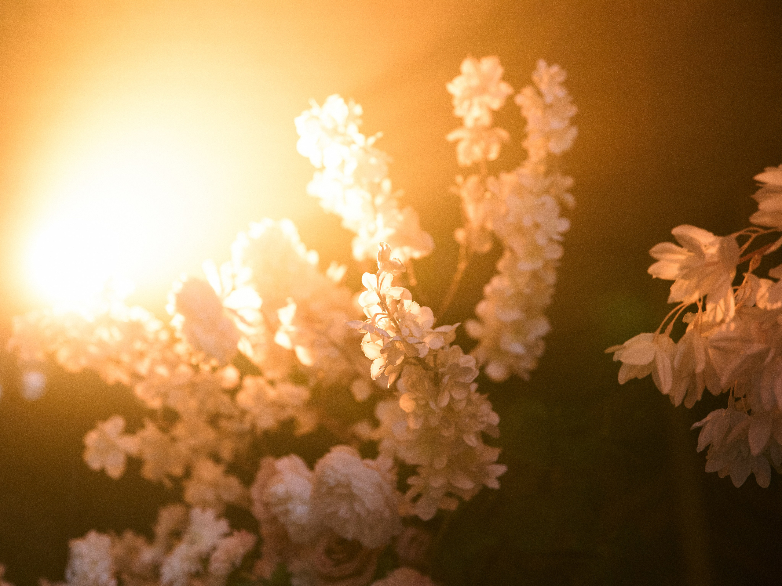 ЧТО, ЕСЛИ СЧАСТЬЕ — ЭТО ТАМ, ГДЕ ТЫ И Я?. Свадебный фотограф Анна Чащухина