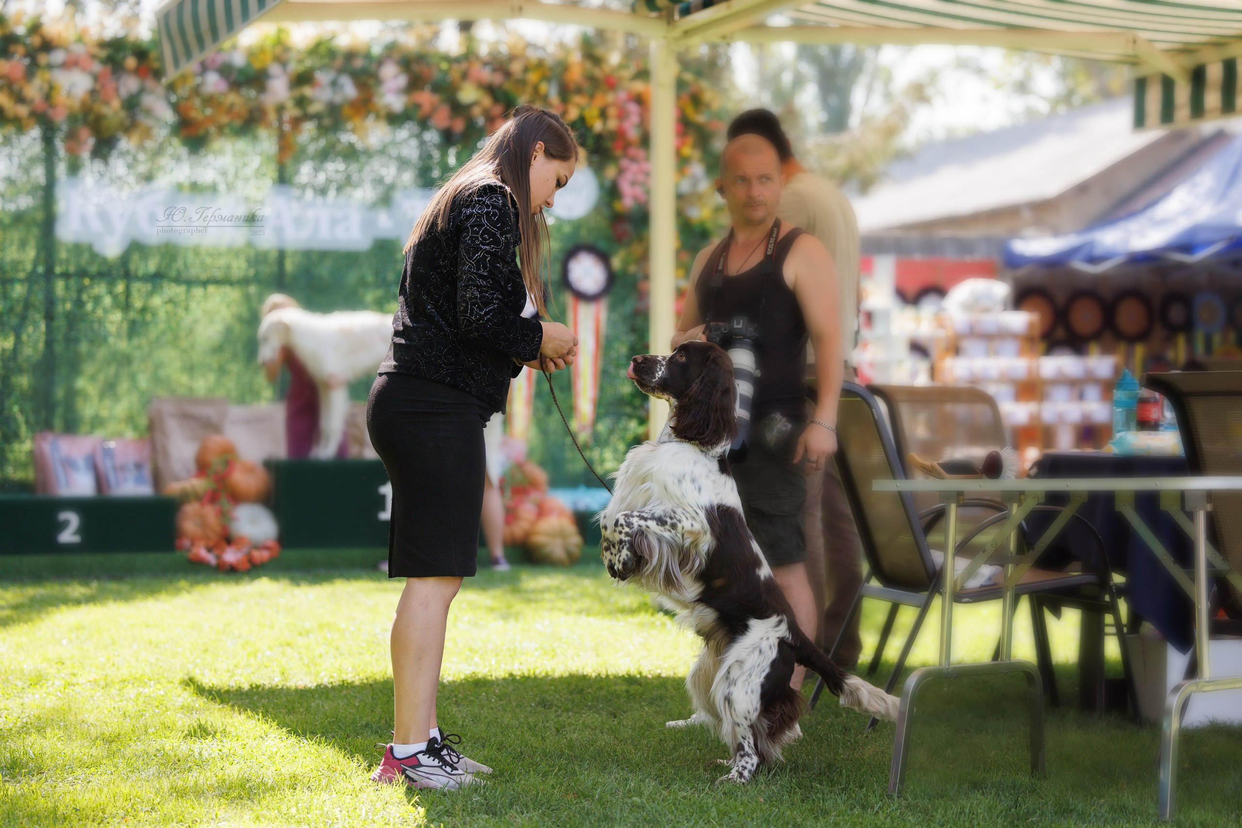 Бишкек 3х CACIB 26-28.09.2025. Фотограф-анималист Юлия Германика