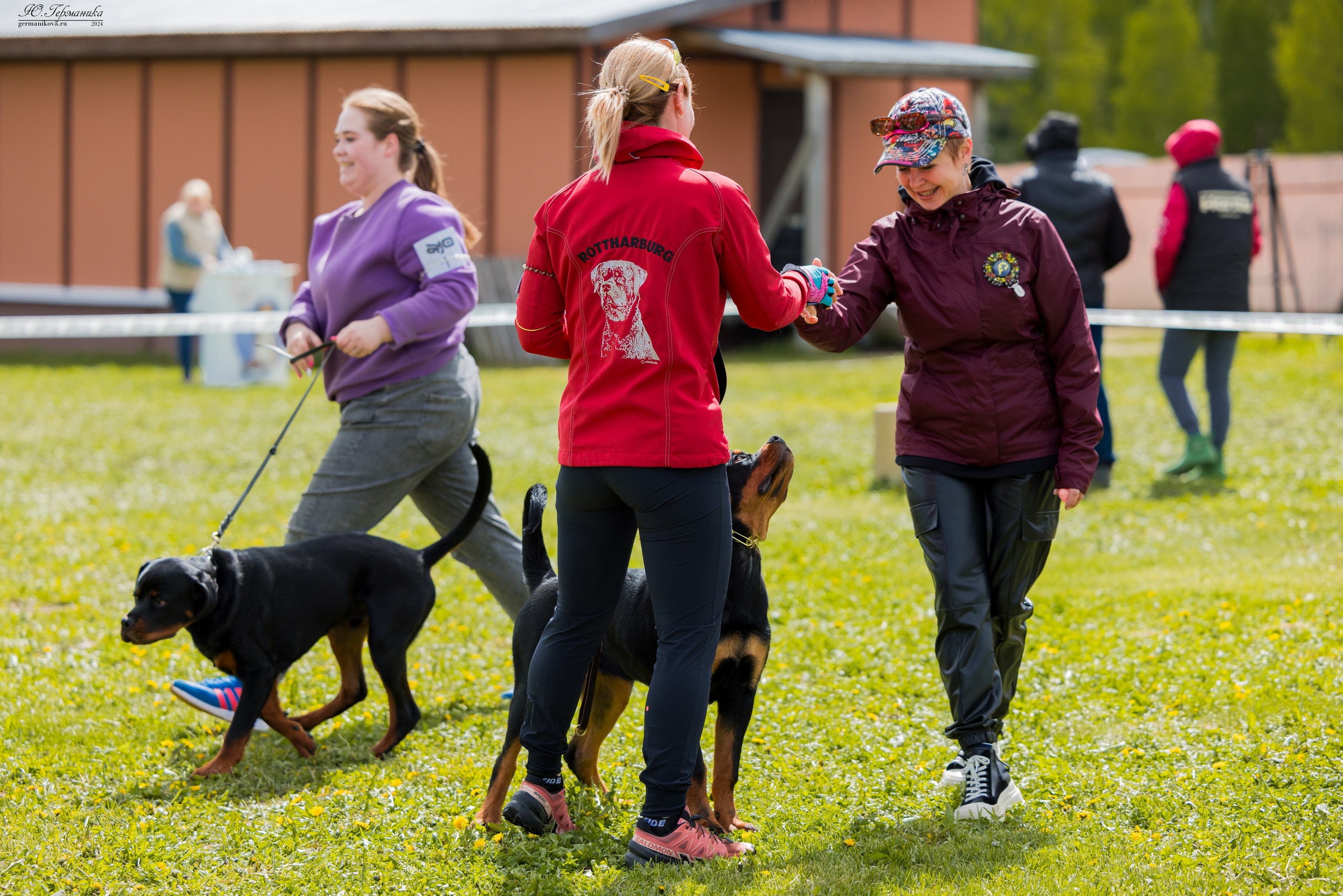 Нижний Новгород 11-12.05.2024 моно ротвейлеров. Фотограф-анималист Юлия Германика