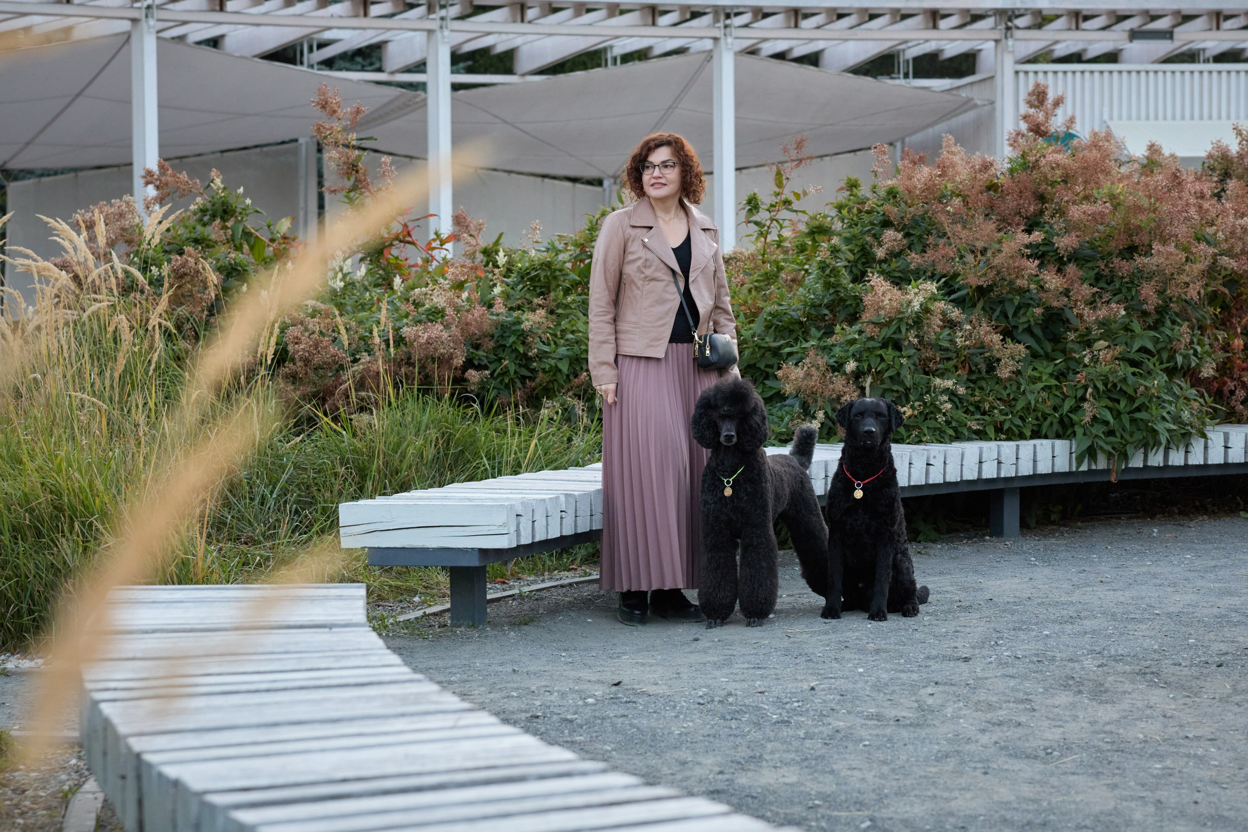 Альбина. Марфа и Мистик. Прогулка в парке. Фотограф анималист в Казани Алина Сулейманова. Фотограф животных