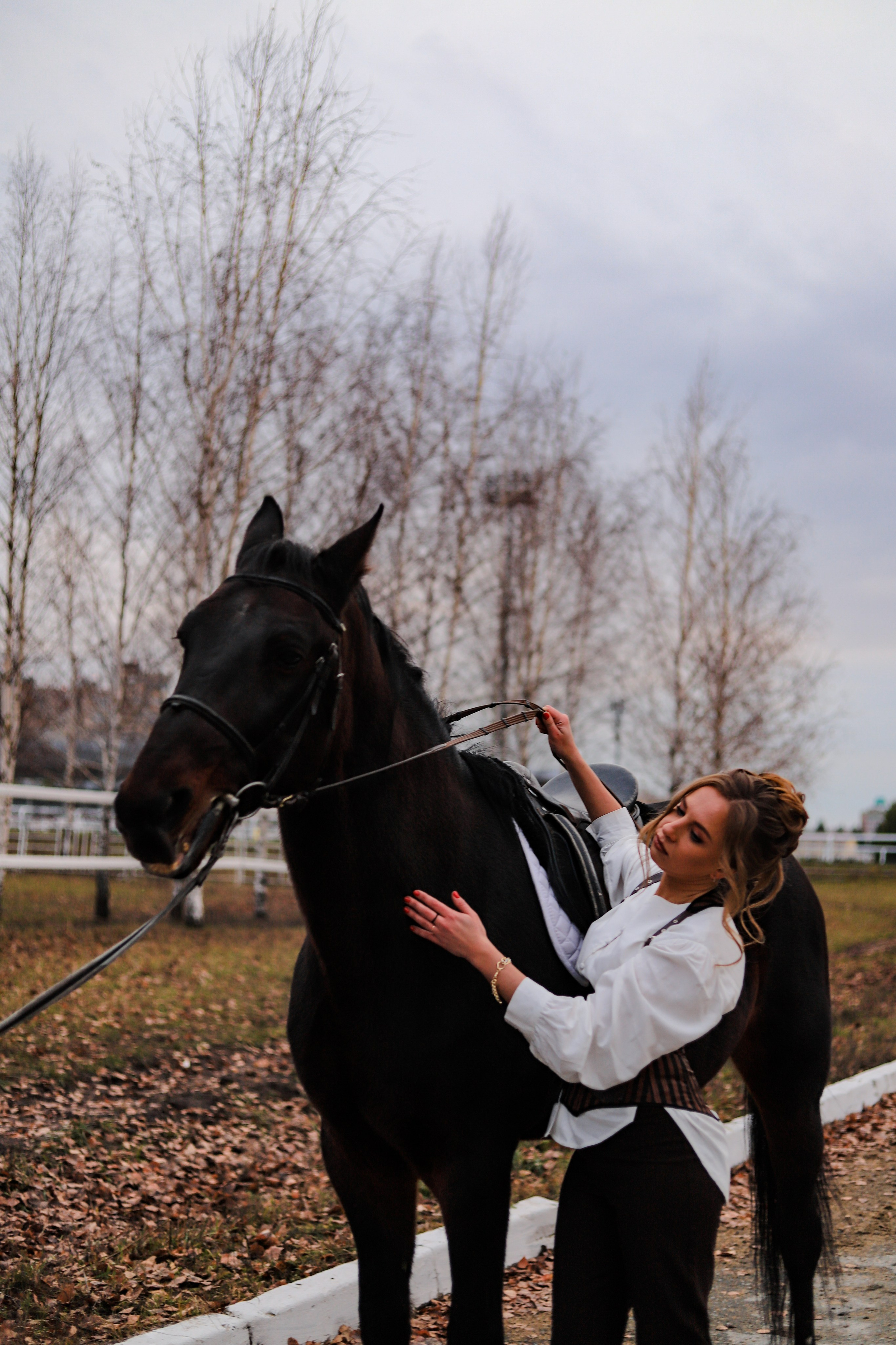 Ипподром индивидуальная с лошадьми 11.04. Главная