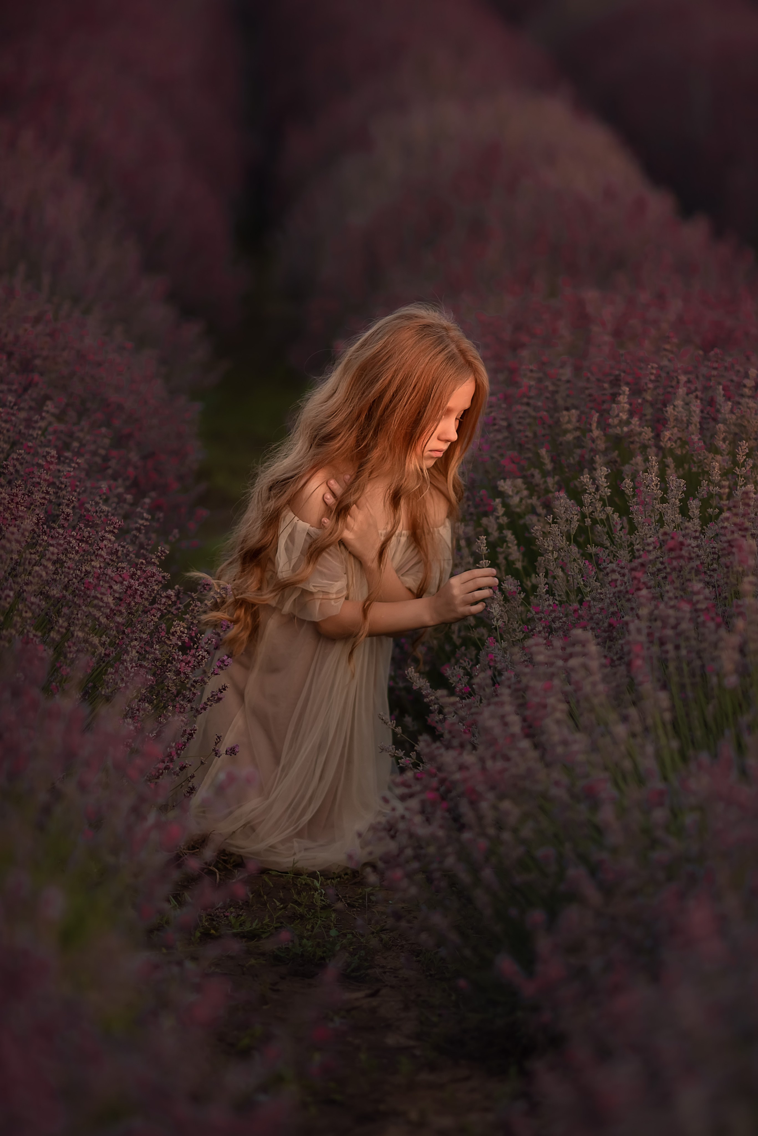 Лаванда. Семейный, детский и женский фотограф в Ростове-на-Дону Кирилина Екатерина