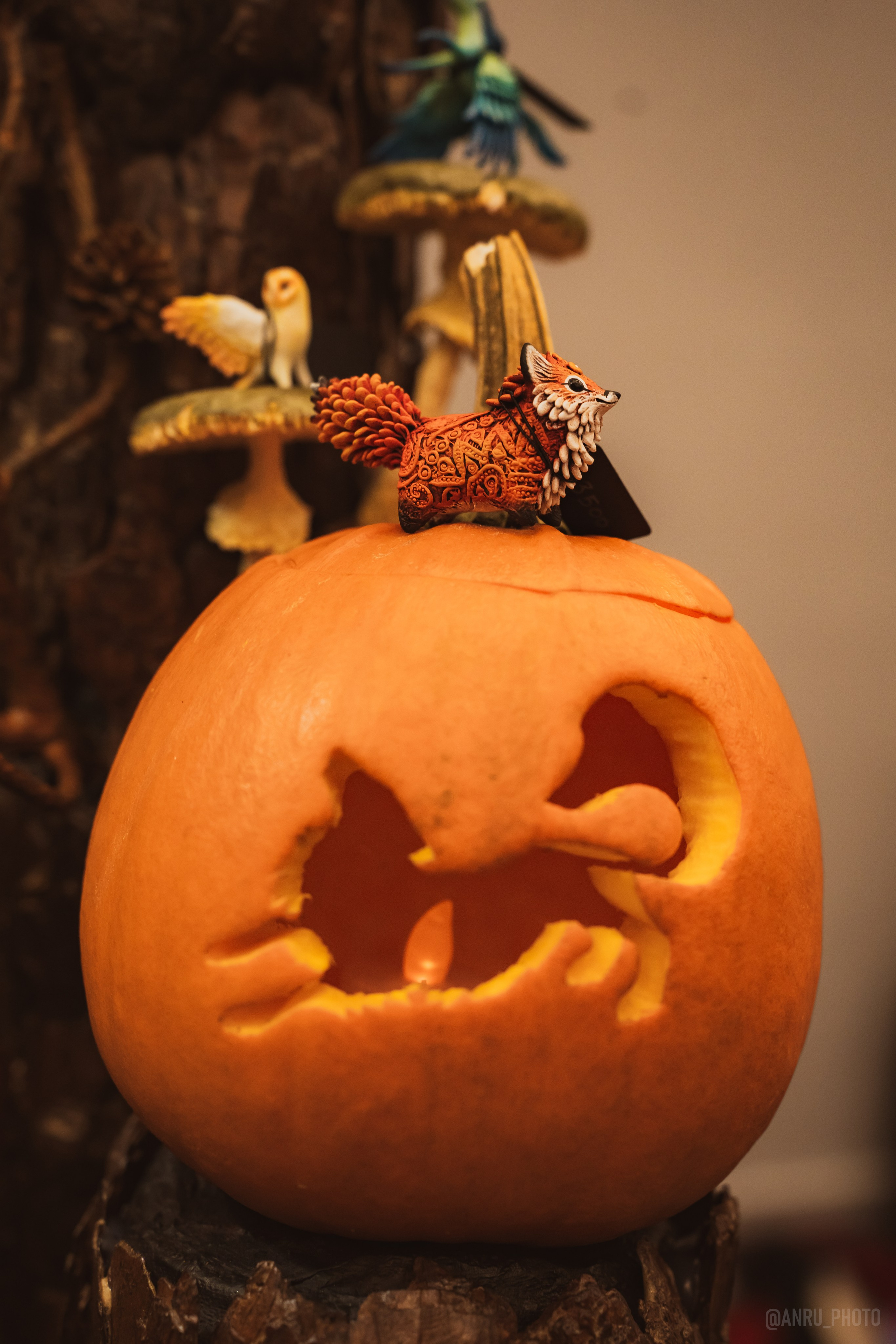 Fox Family fest. Репортажный фотограф Анастасия Рубцова