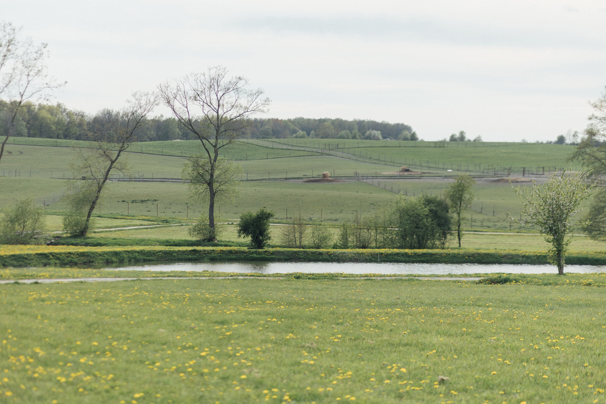 Свадьба Вера и Сергей. Главная