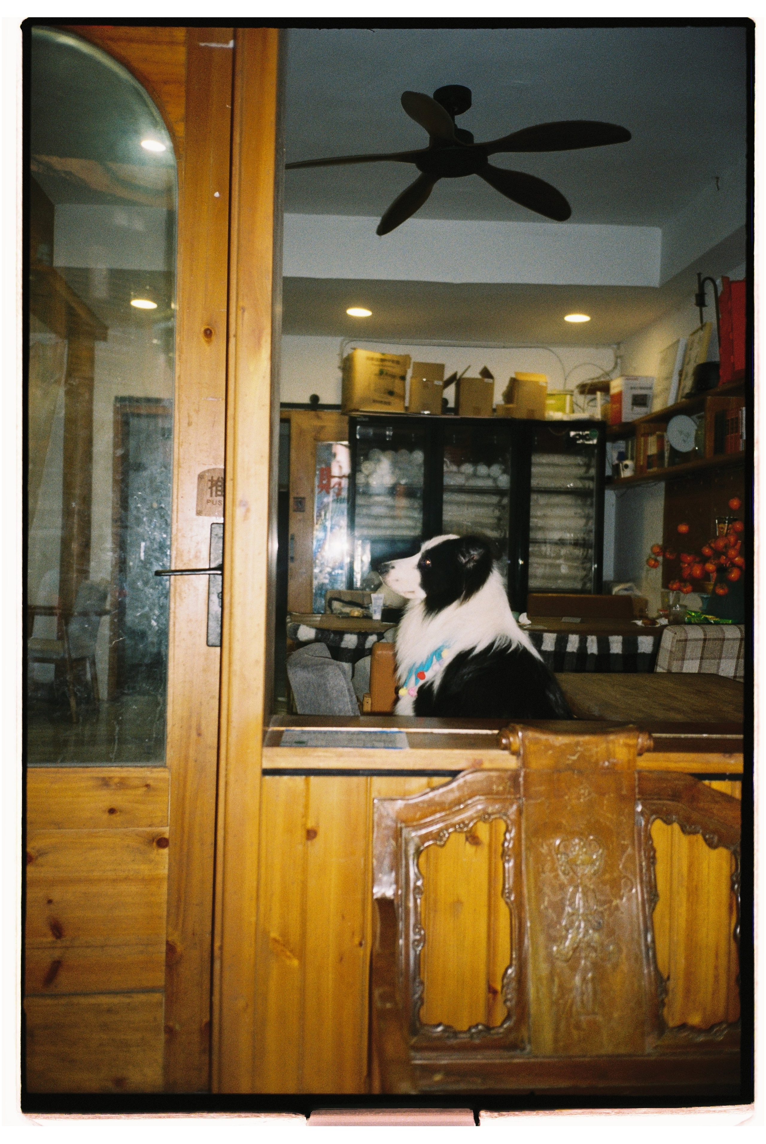 China & Hong Kong. @tomrus: Рустам Шагиморданов — фотограф