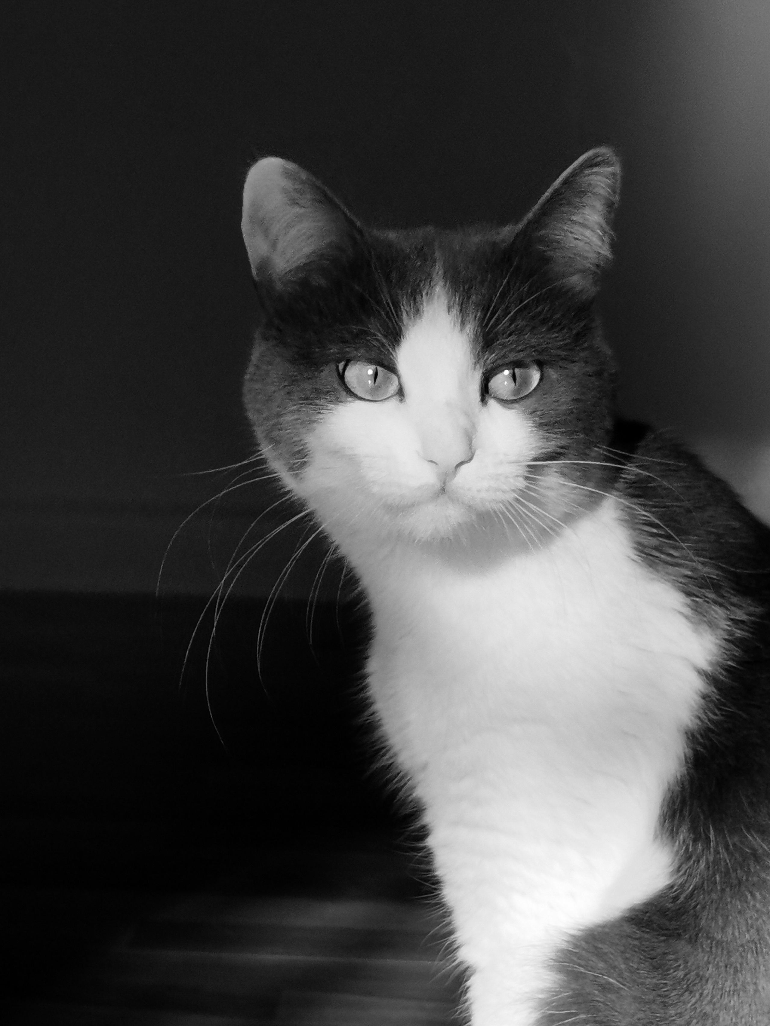 Академия фотографии. Фото/Ретушь/Обучение