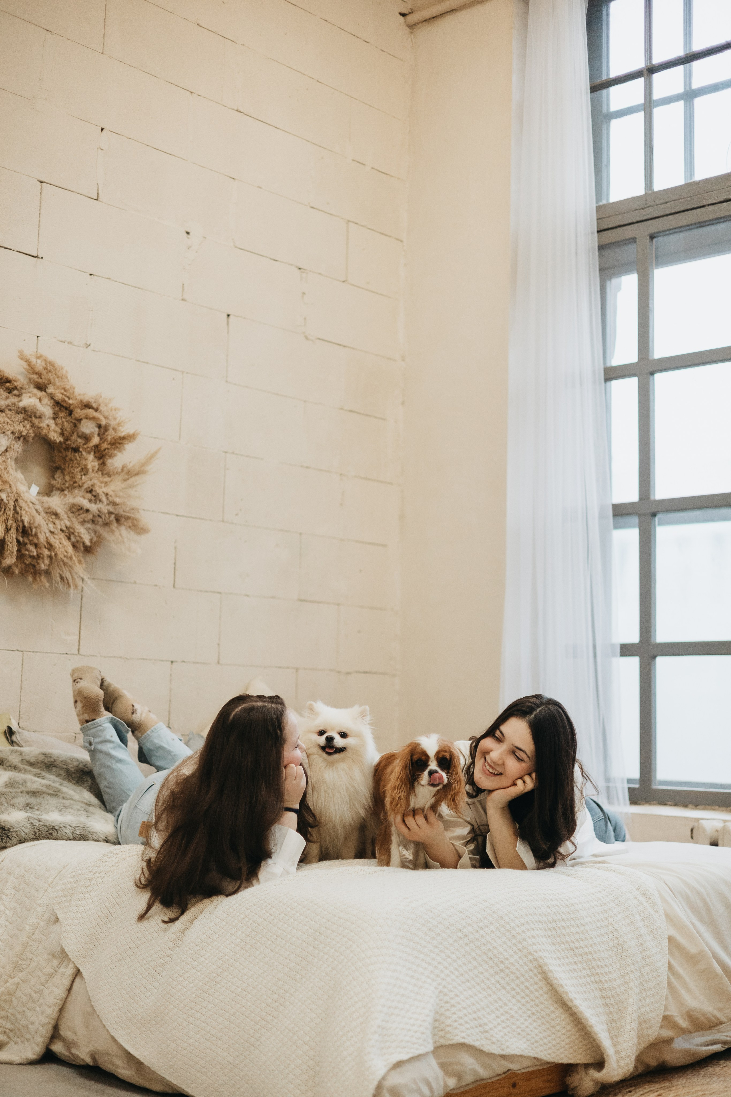 Катя и компания. Фотограф животных Евгения Верцинская