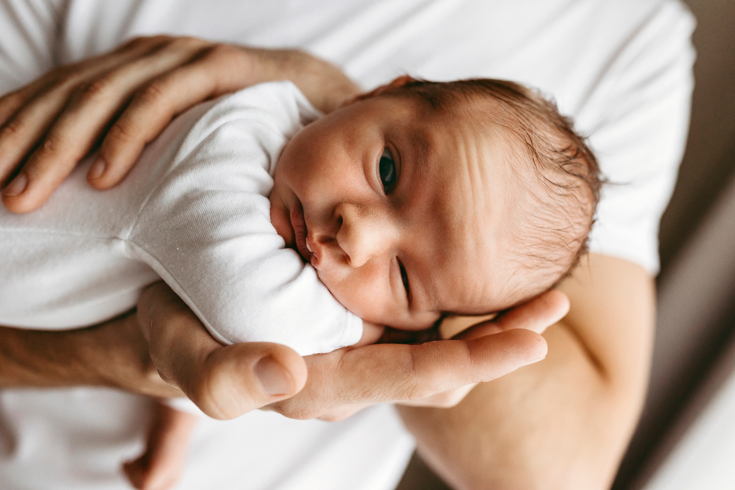 Тимур. Главная