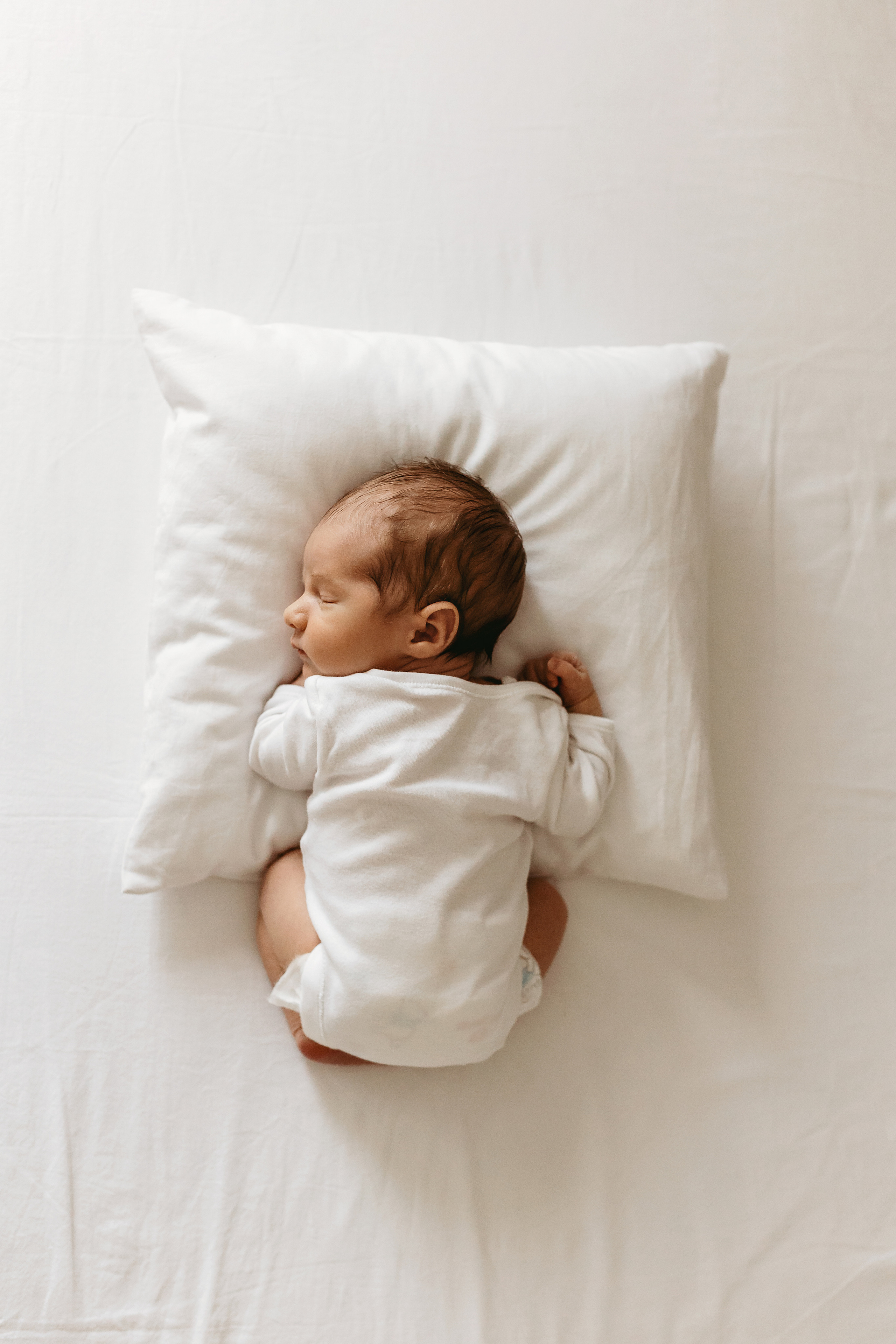 Тимур. Главная