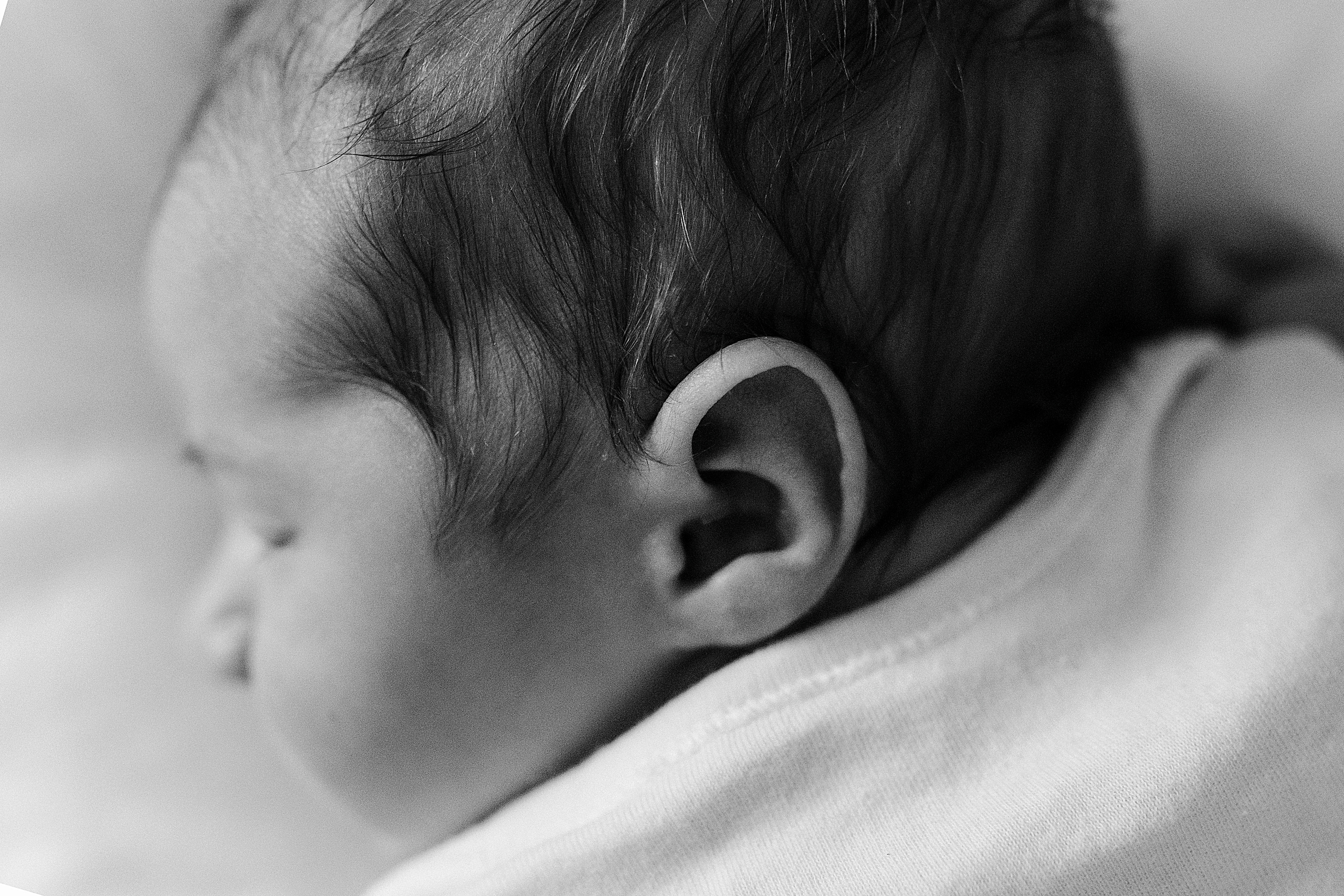 Тимур. Главная