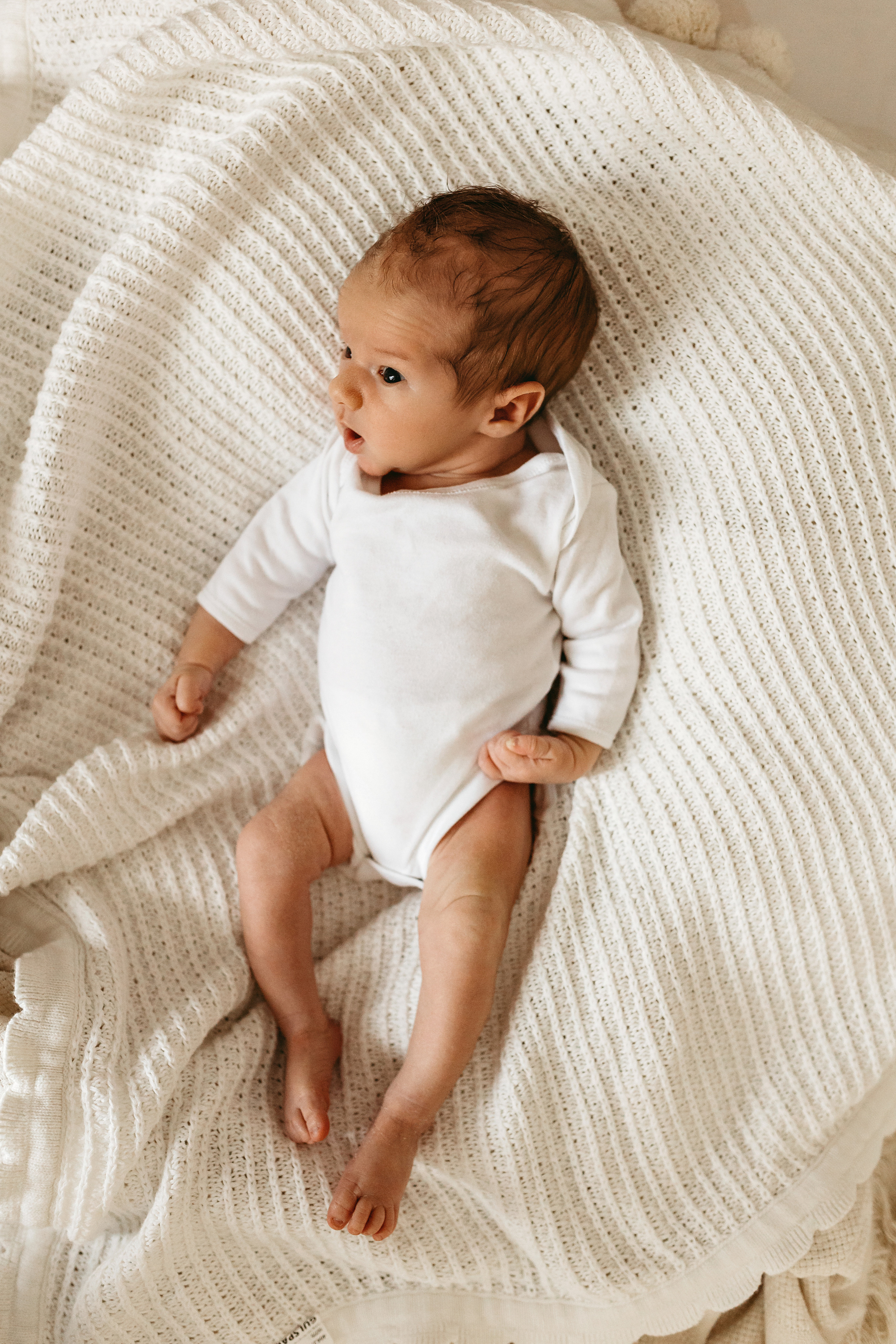 Тимур. Главная