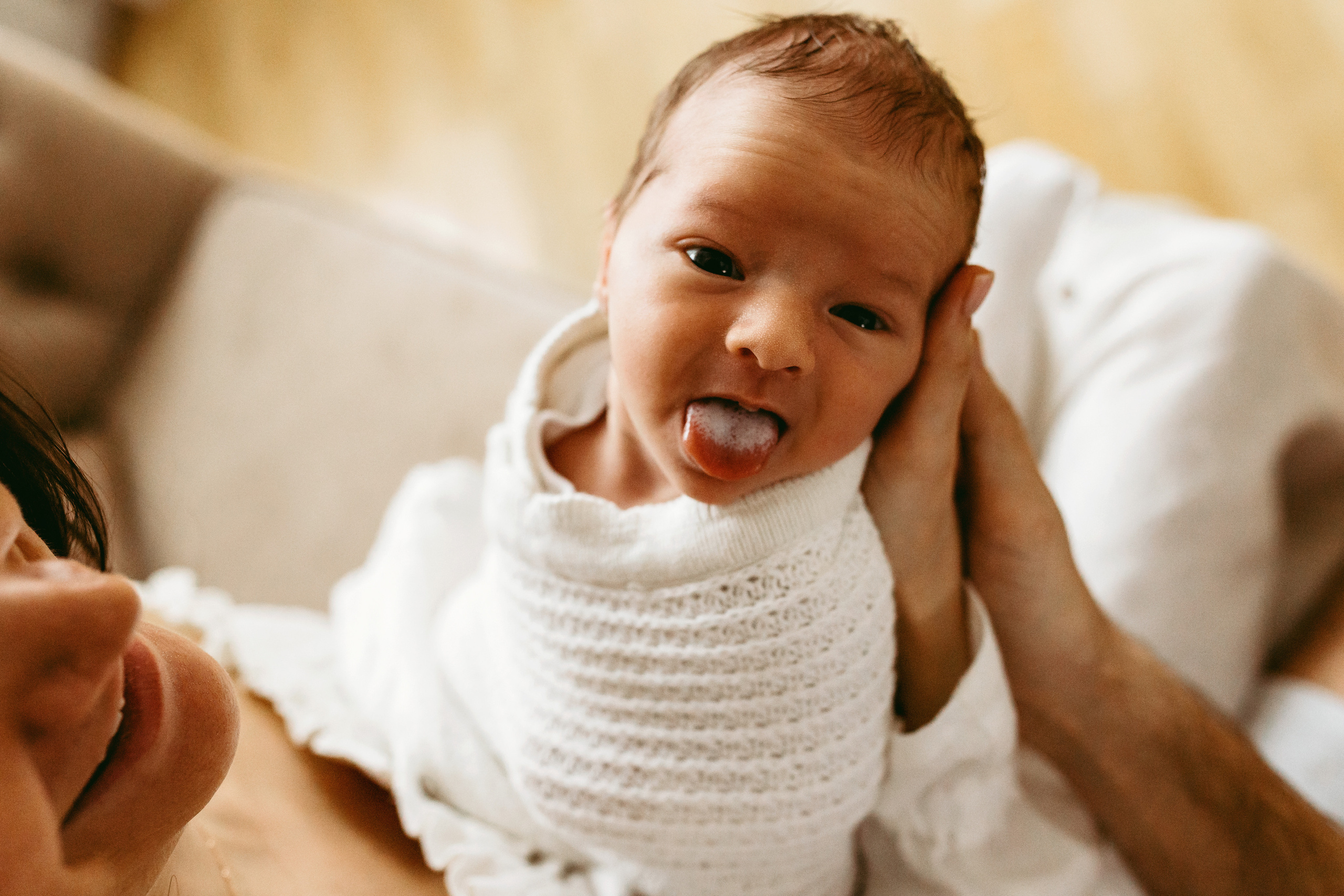 Тимур. Главная