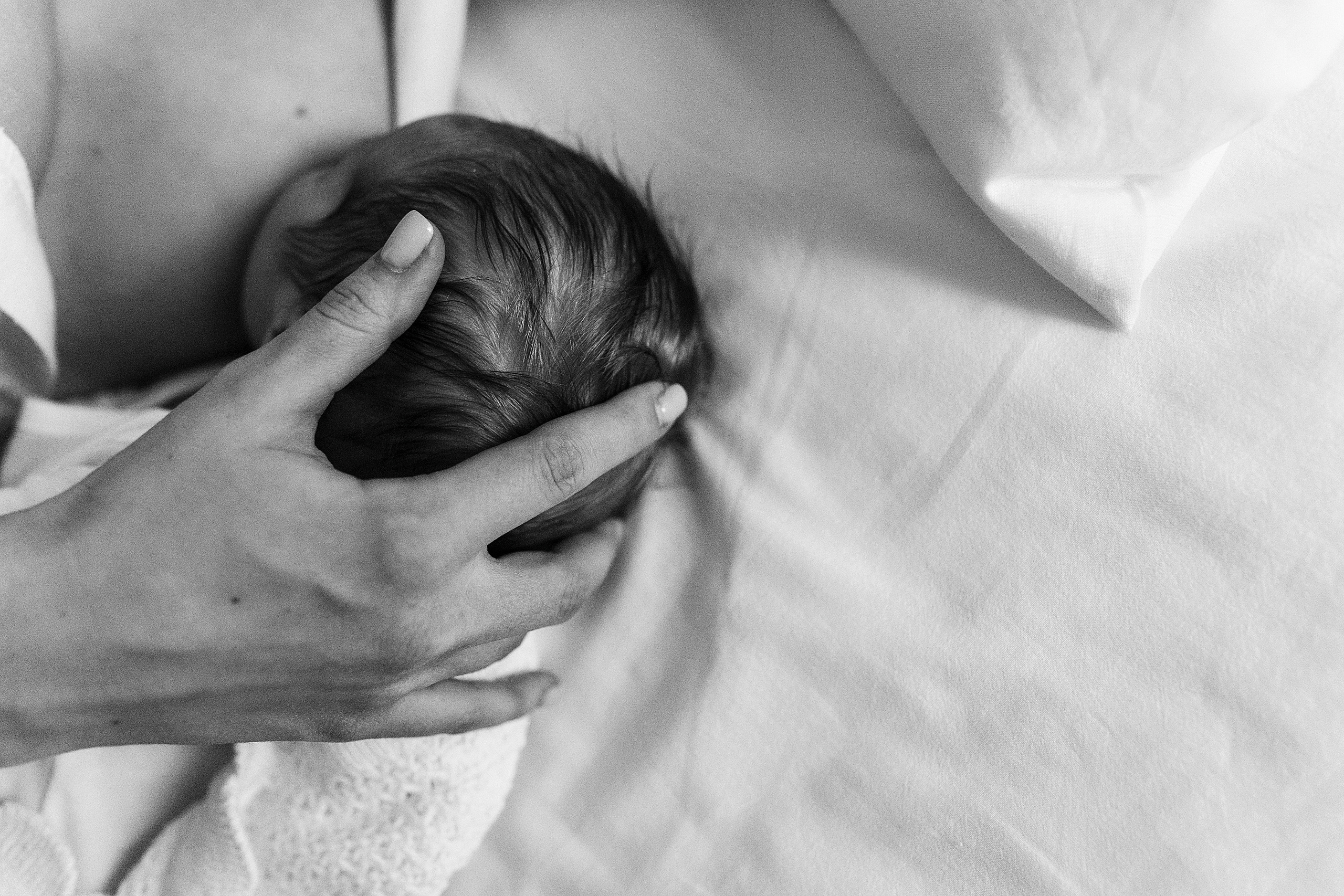 Тимур. Главная