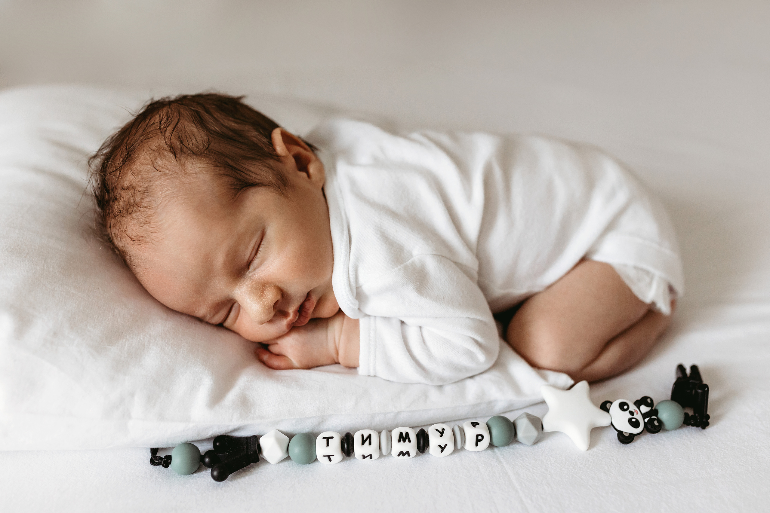 Тимур. Главная