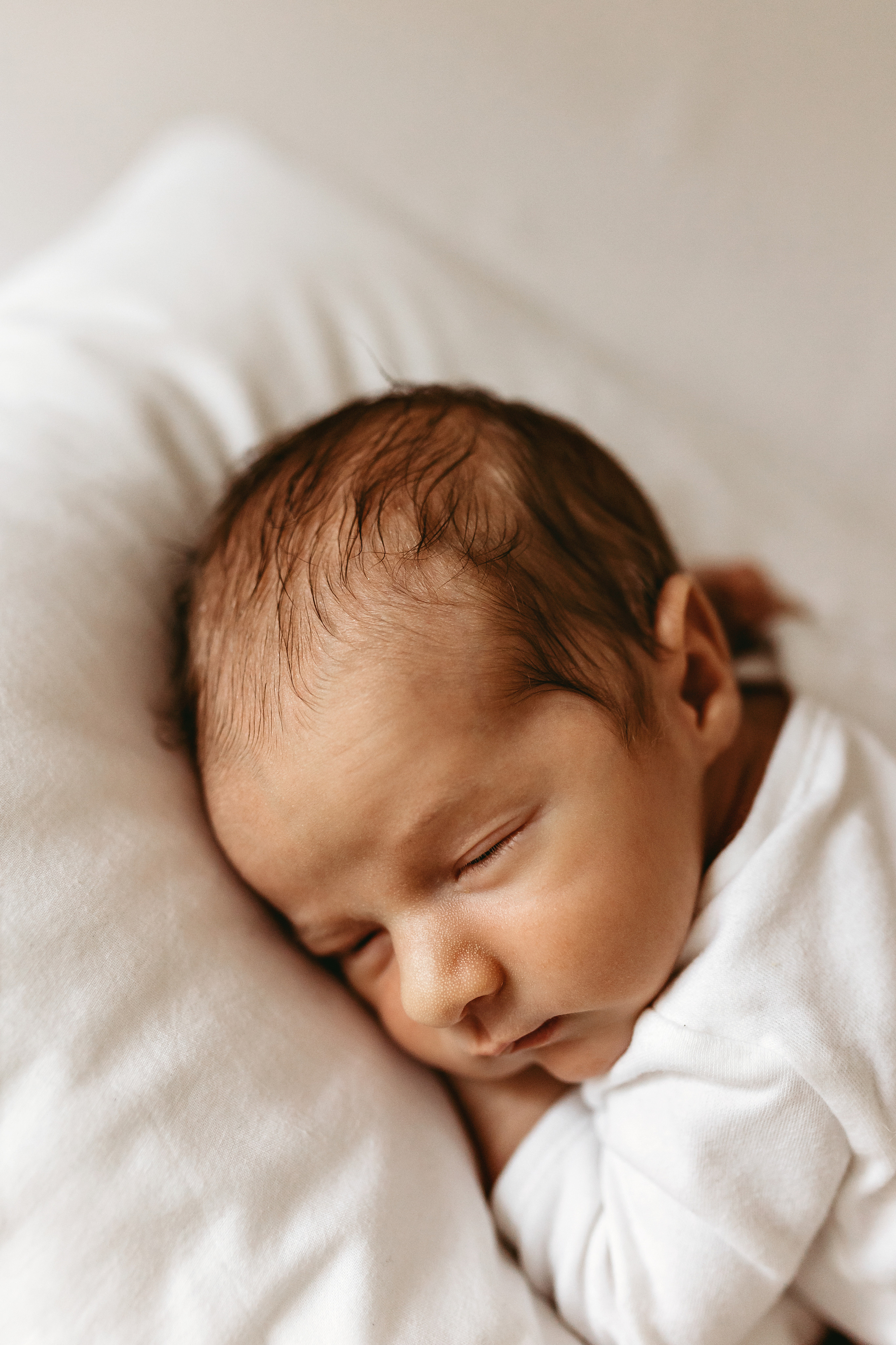 Тимур. Главная