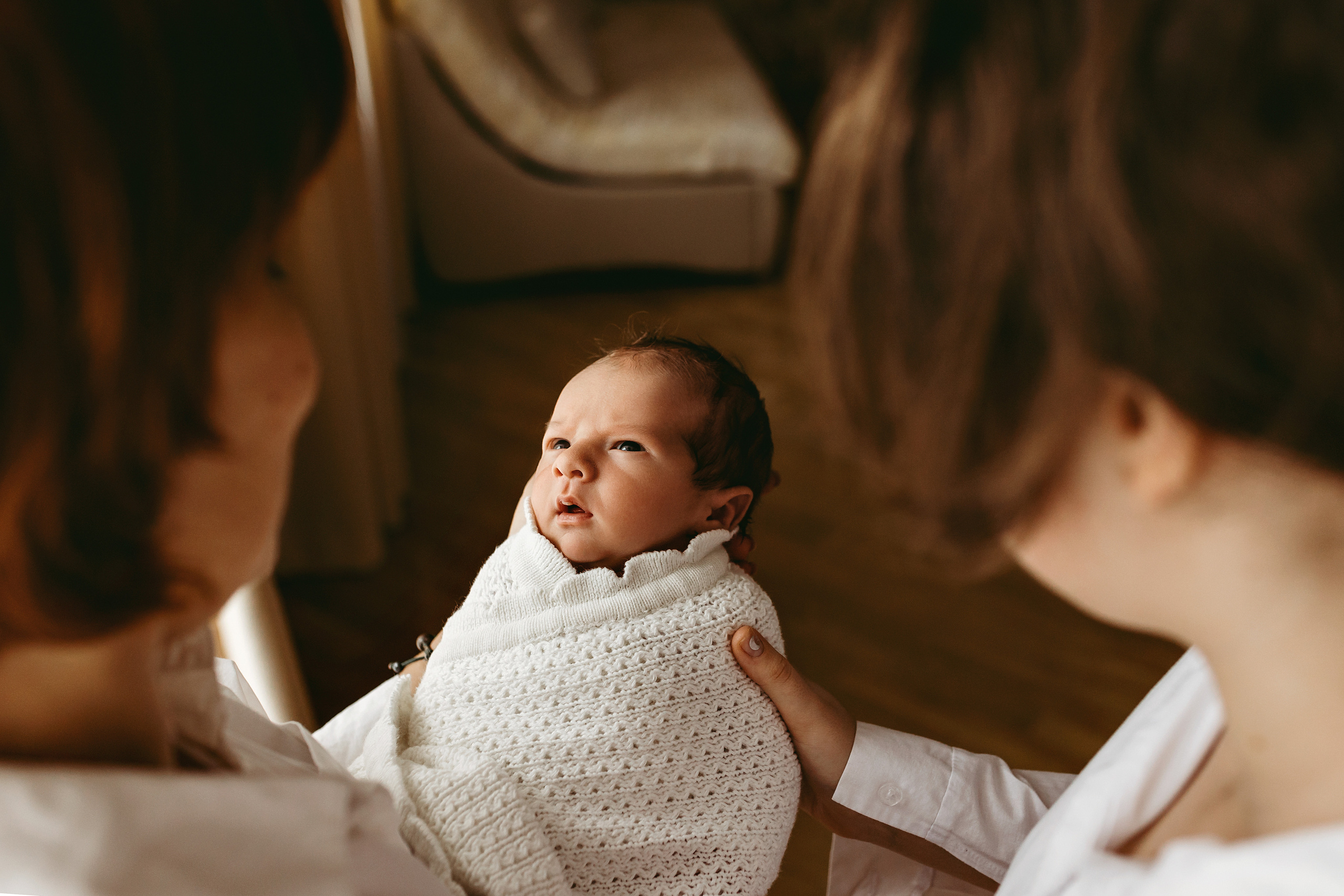 Тимур. Главная