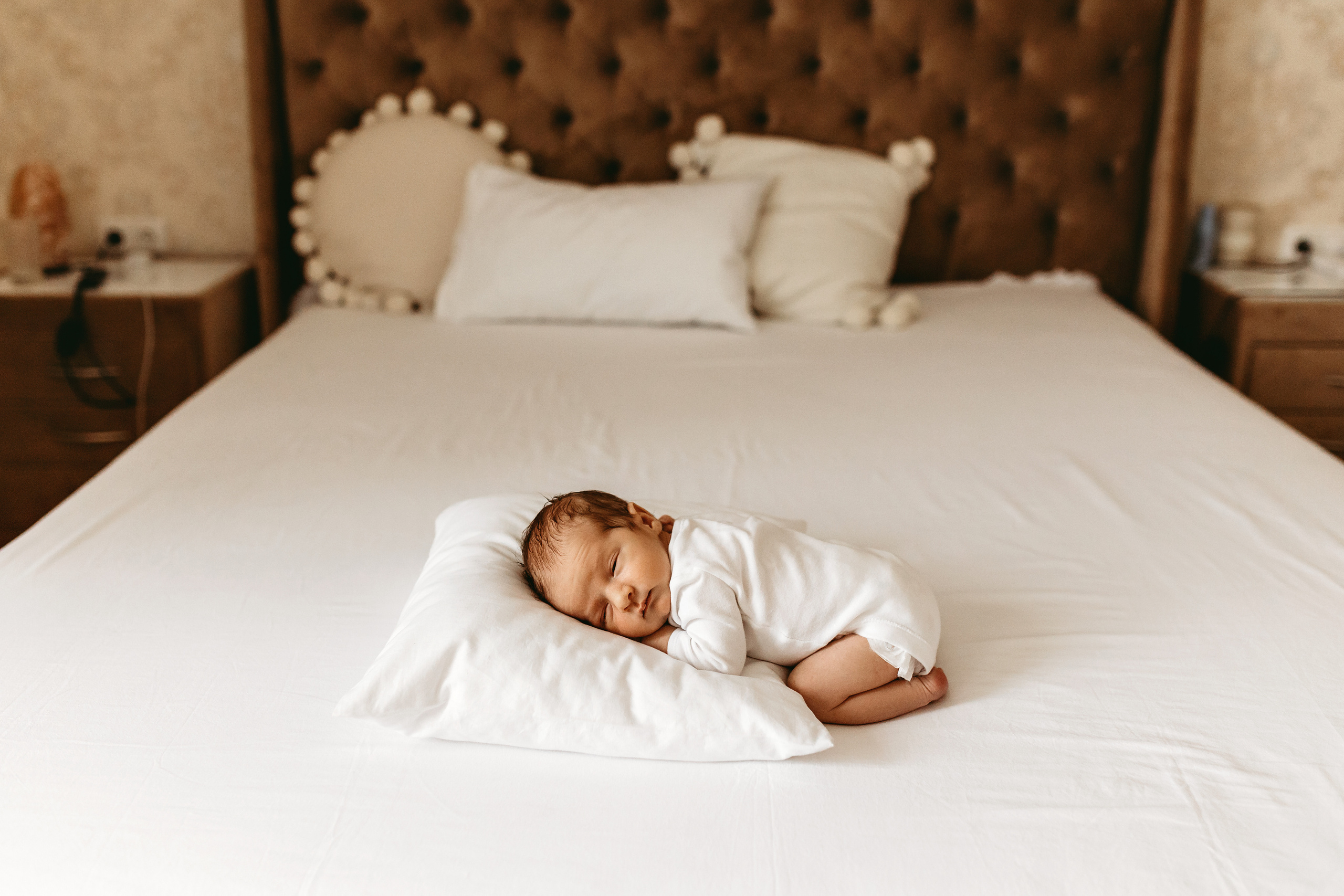 Тимур. Главная