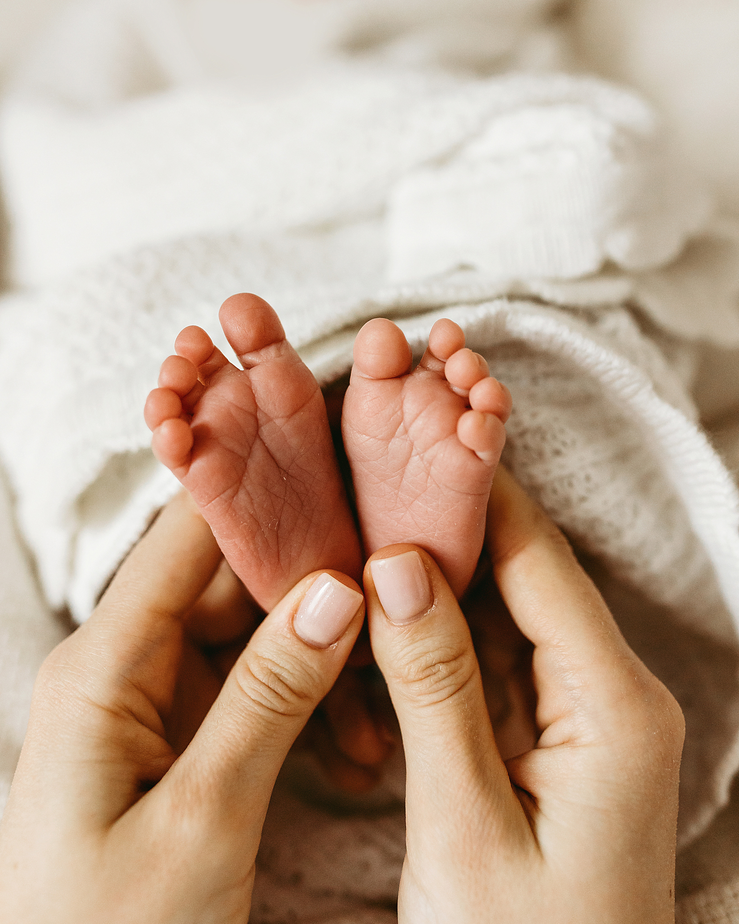 Тимур. Главная