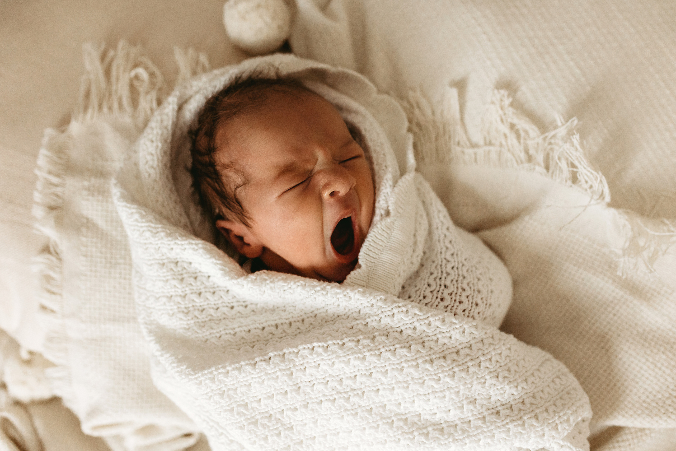 Тимур. Главная