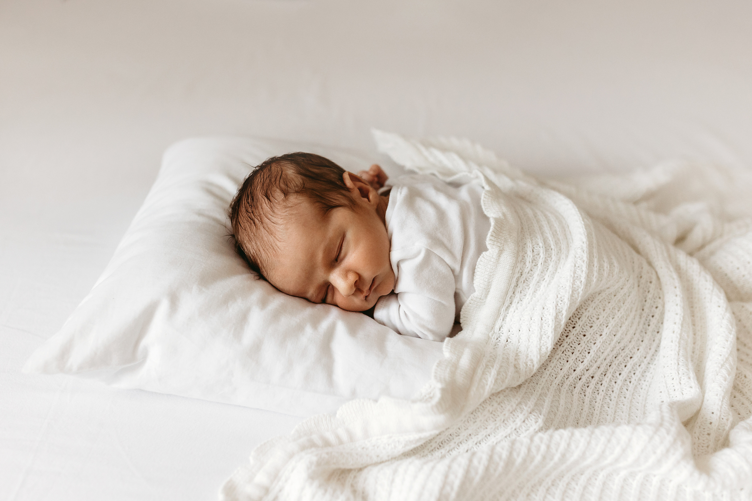 Тимур. Главная