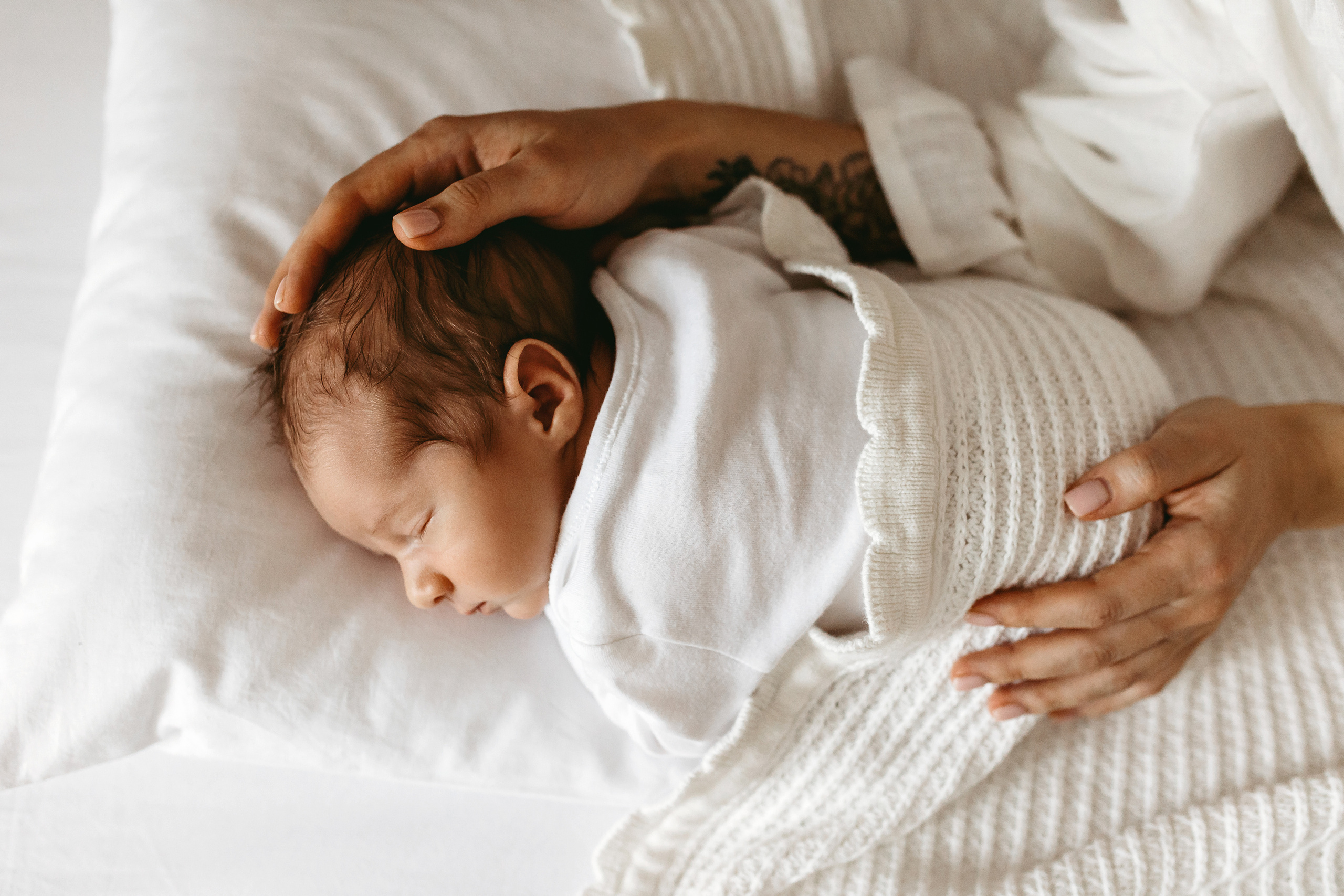 Тимур. Главная