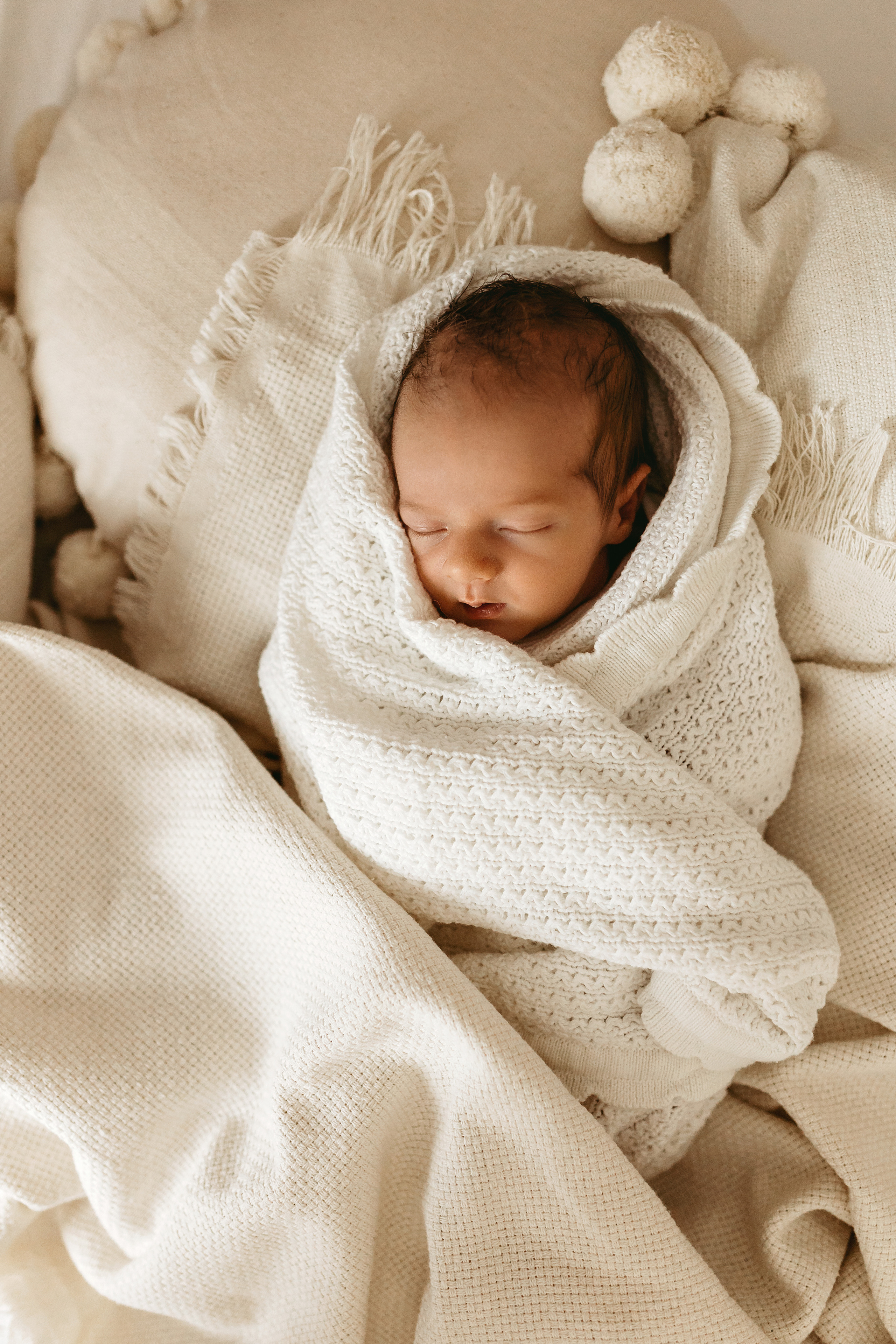 Тимур. Главная