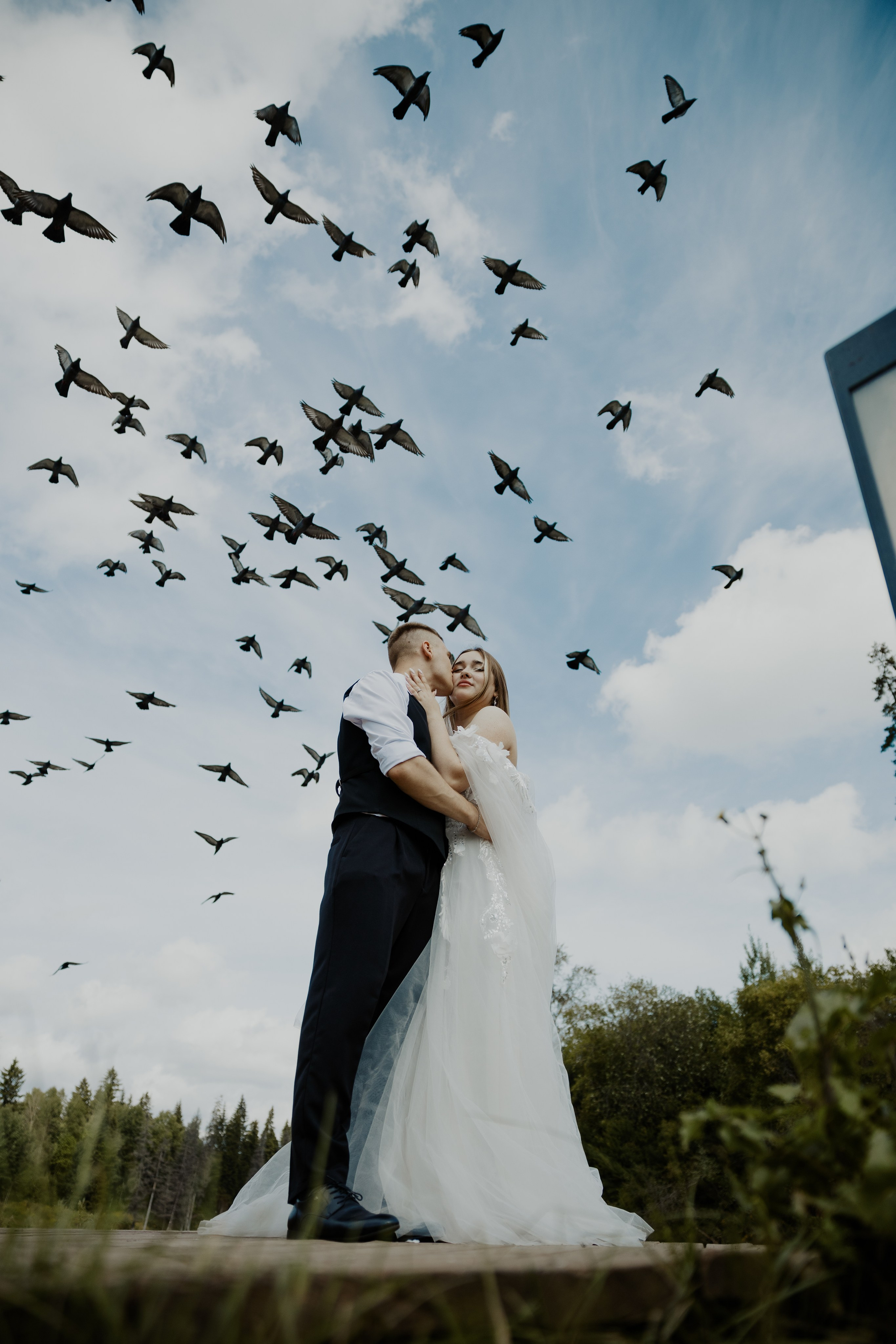 СВАДЬБЫ. Фотограф и видеограф г. Ижевск