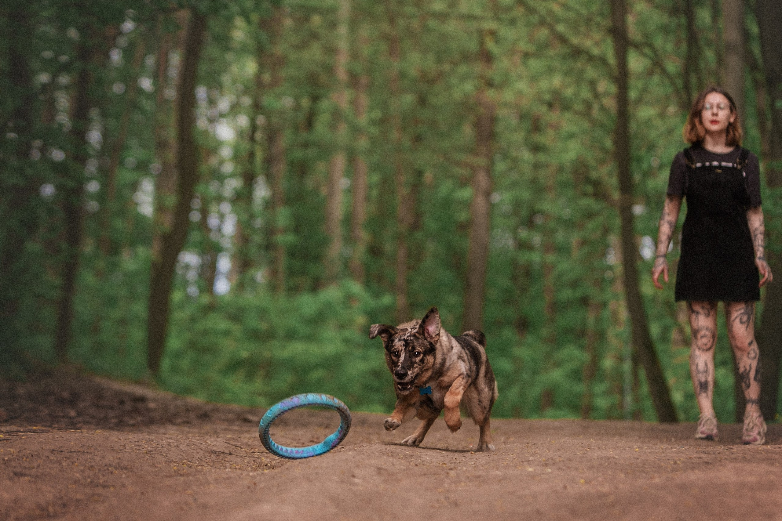 Штефа. Фотограф анималист Кузнецова Анна Нижний Новгород