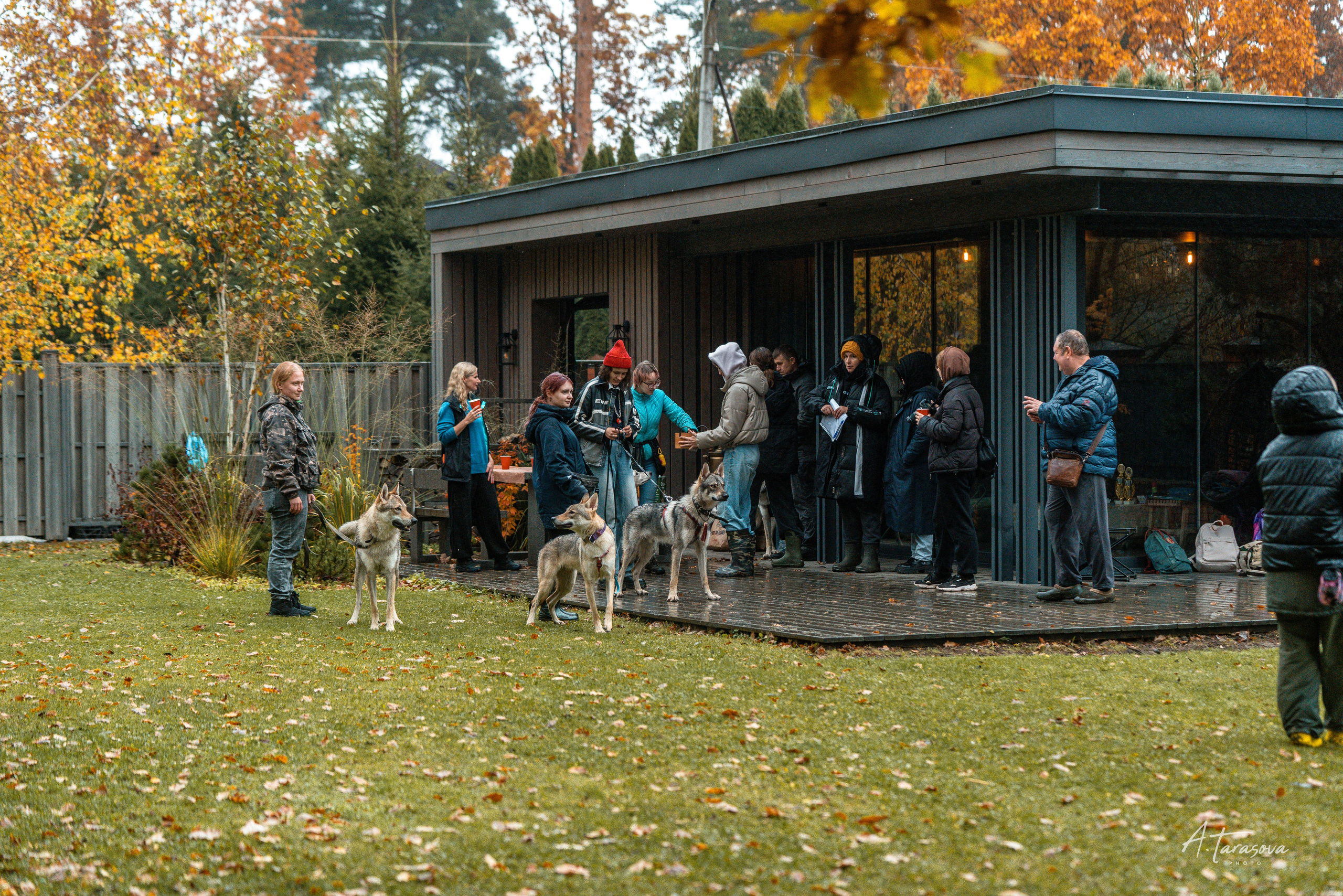 ФОТОПАМЯТЬ ВАШИХ ЭМОЦИЙ. Фотограф-анималист, семейный фотограф в Москве и Подмосковье. Фотосъёмка кинологических дисциплин
