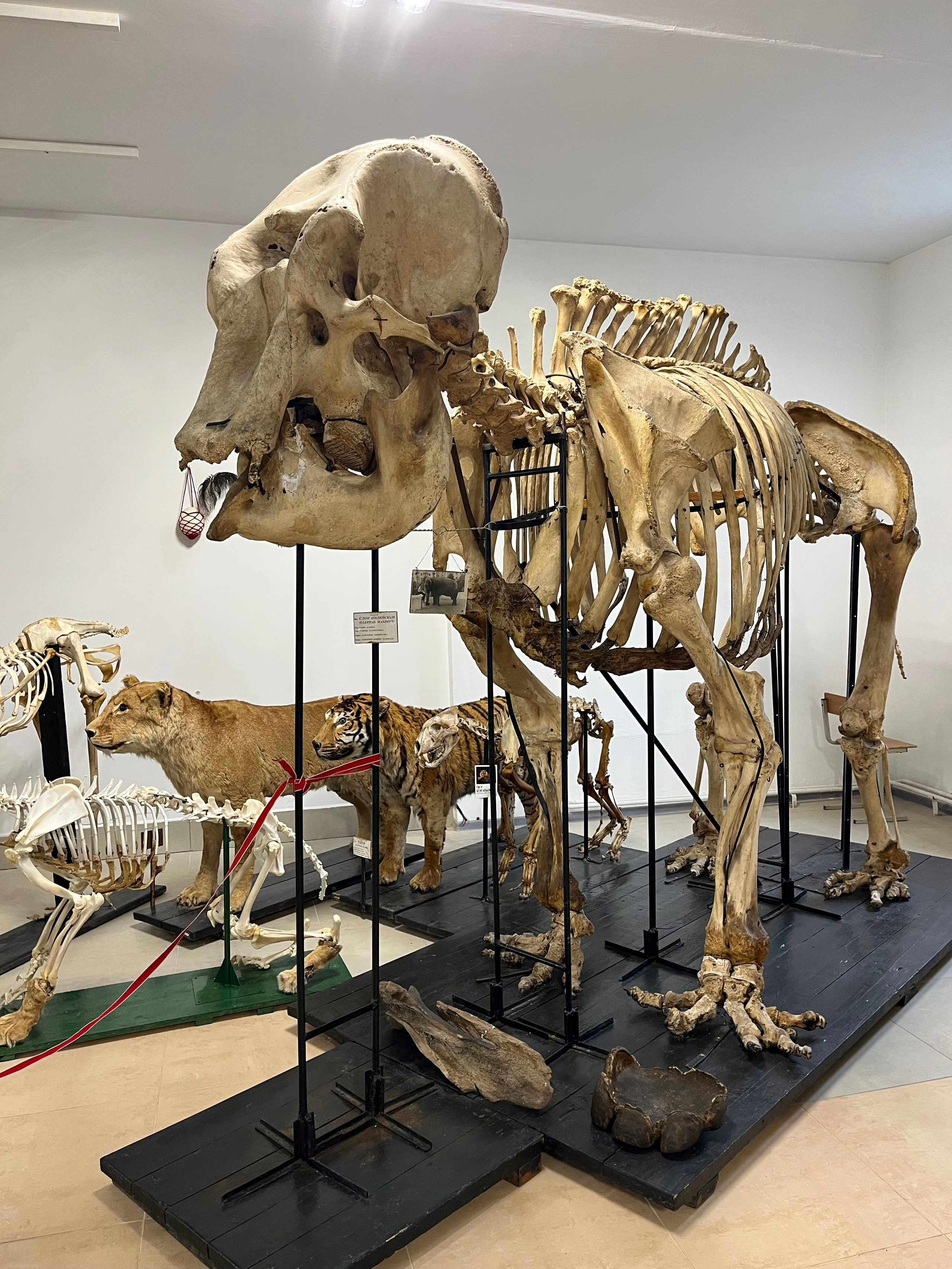 Конференции/Форумы/Выставки 2025. МОТОШКОЛА в городе Витебске. Обучение категории А и А1