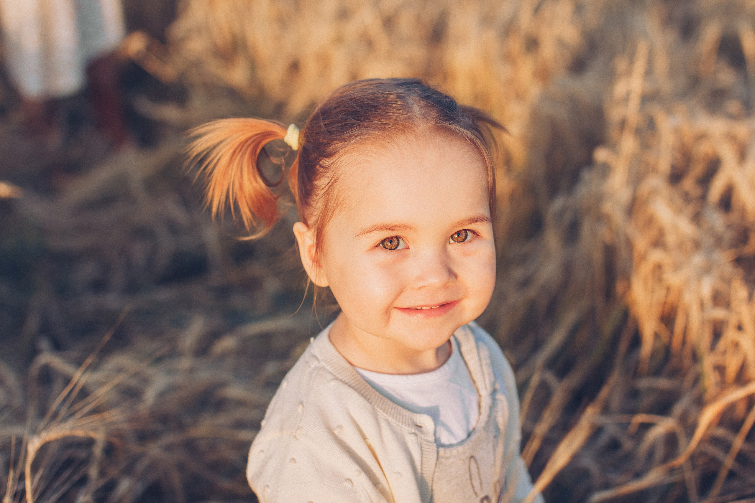 Семейная фотосессия в пшеничном поле на закате. Семейный фотограф Екатеринбург Черепанова Олеся