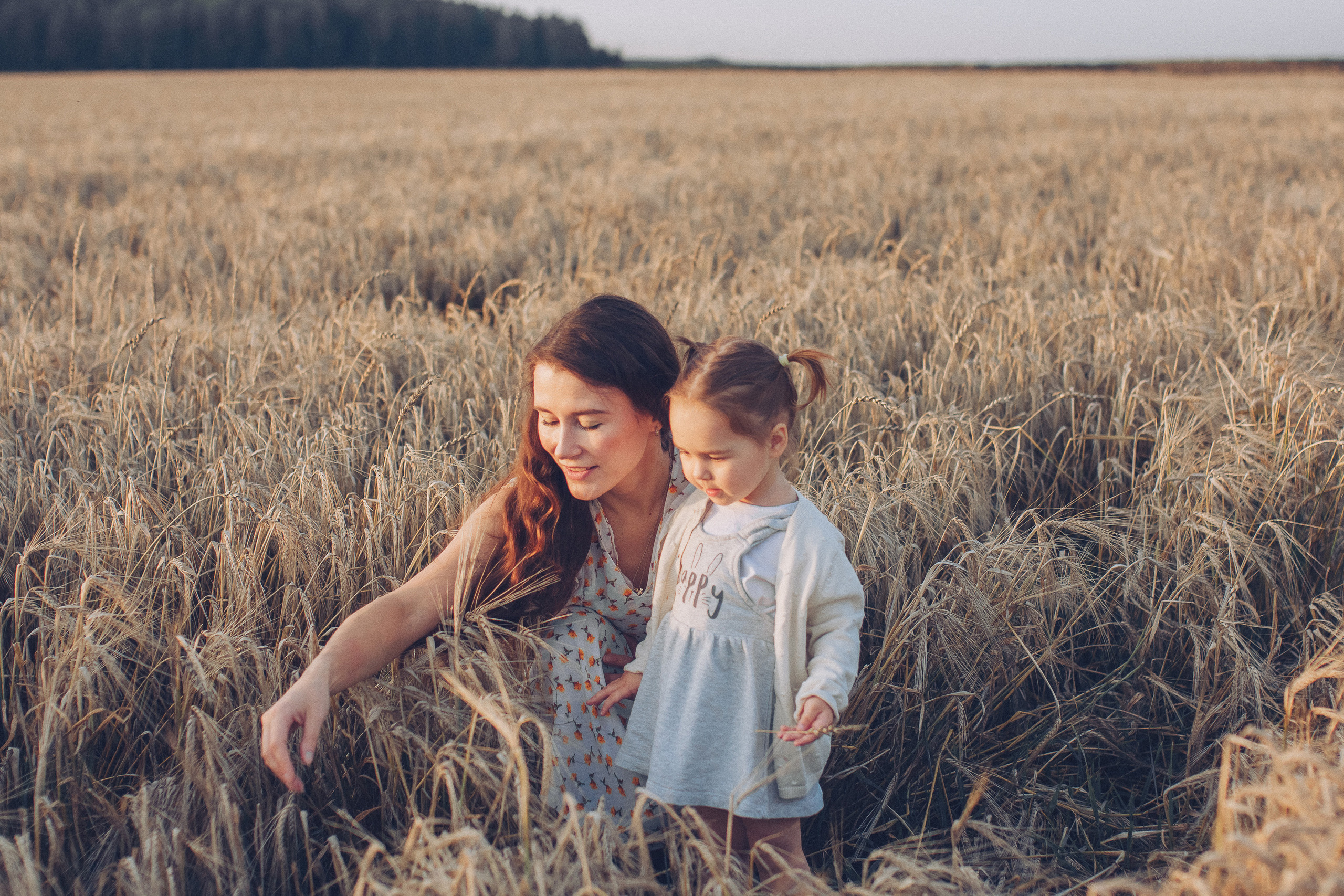 Семейная фотосессия в пшеничном поле на закате. Семейный фотограф Екатеринбург Черепанова Олеся