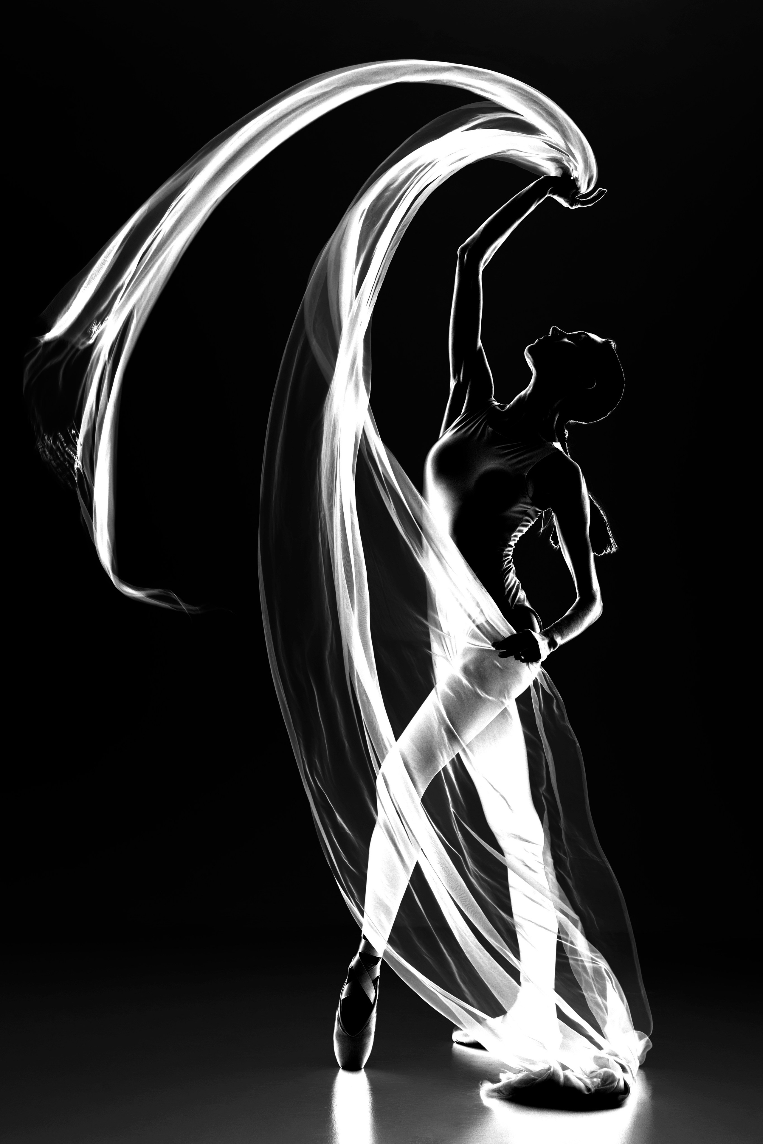 Искусство линии и света