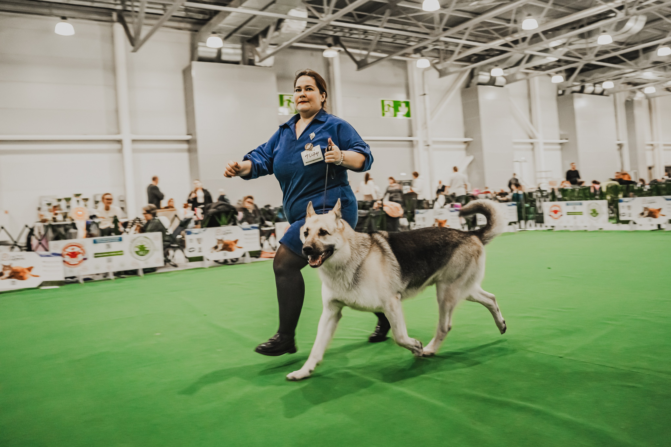 Международная выставка собак всех пород. Репортажный фотограф Анастасия Рубцова