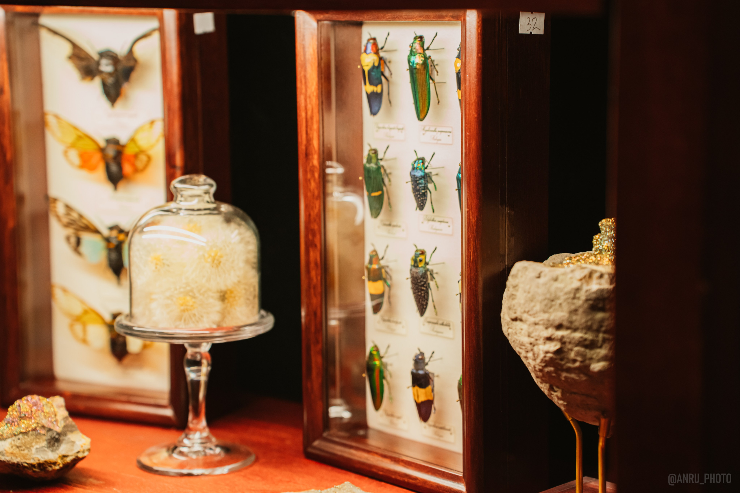 Рептилиум (ручная работа). Репортажный фотограф Анастасия Рубцова